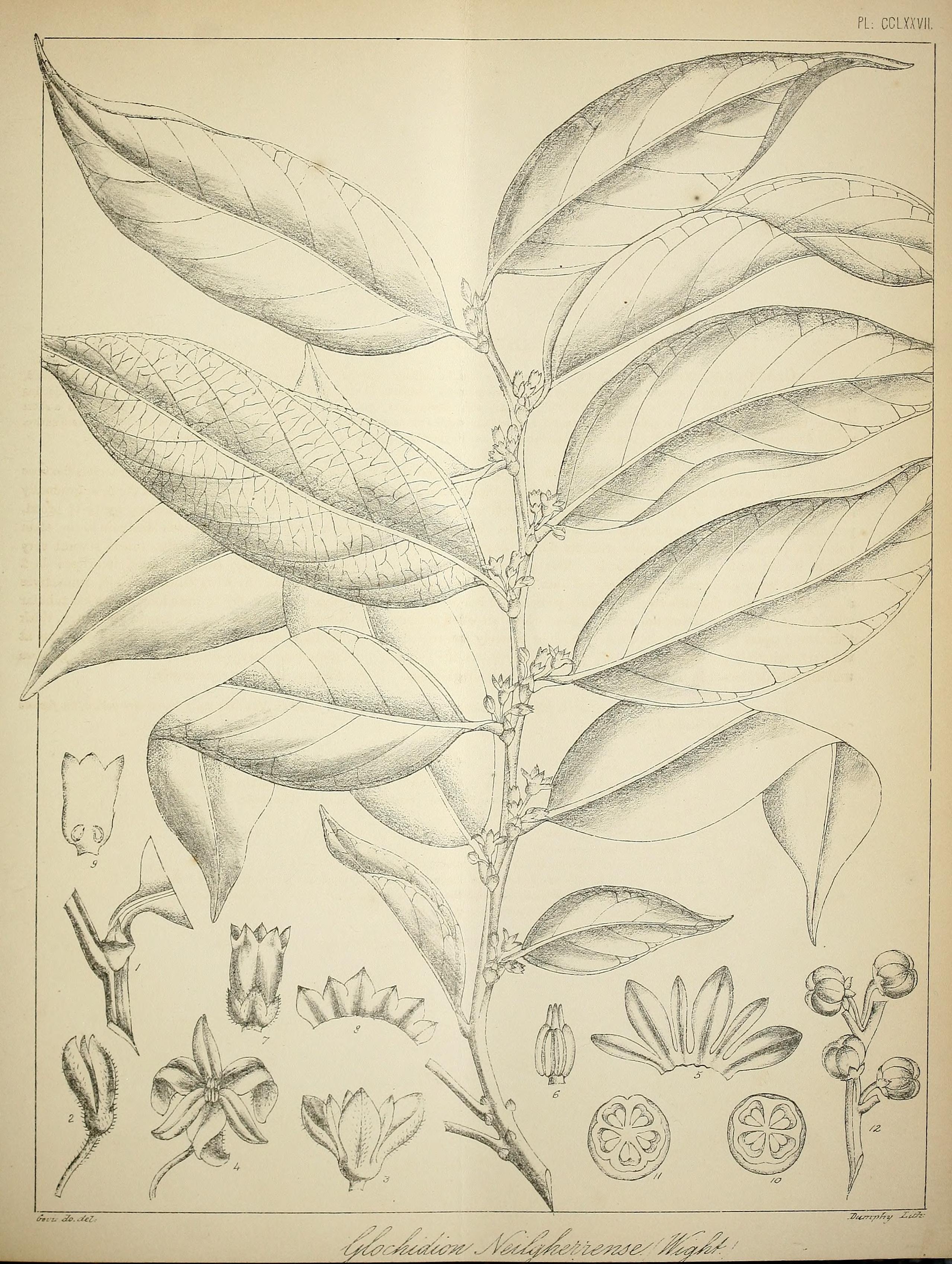 no full size  illustration available (3a)