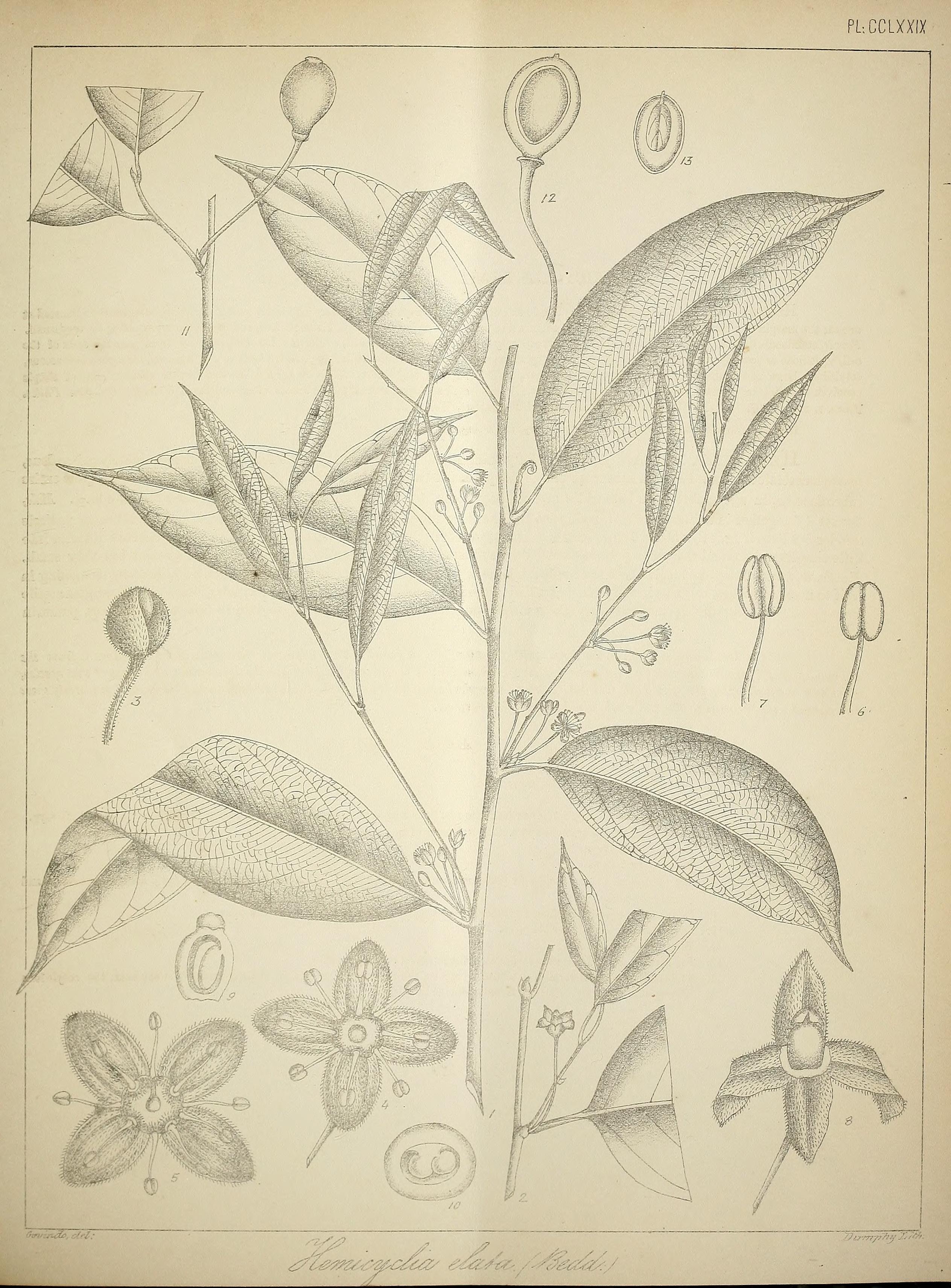 no full size  illustration available (3a)