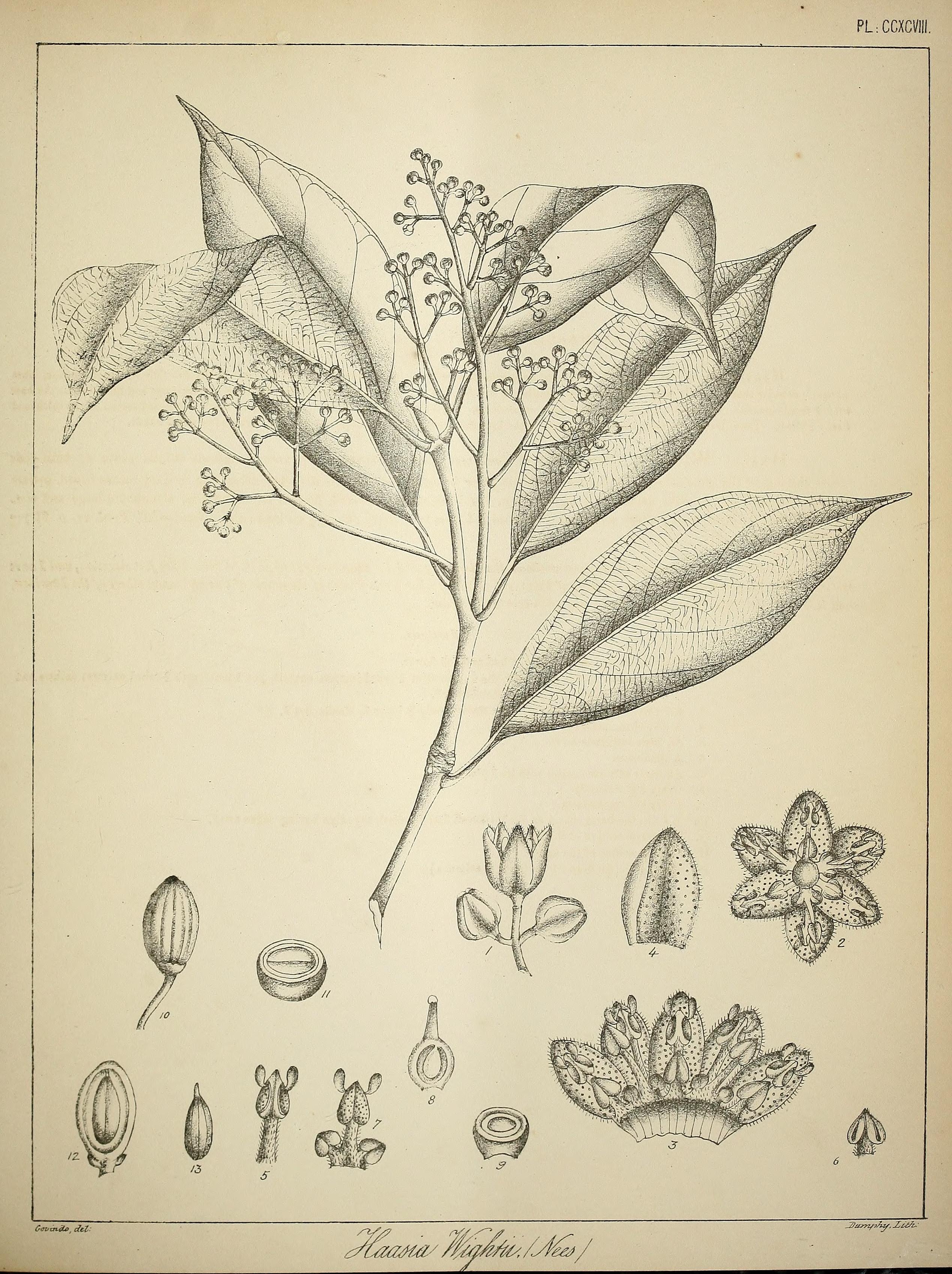 no full size  illustration available (3a)