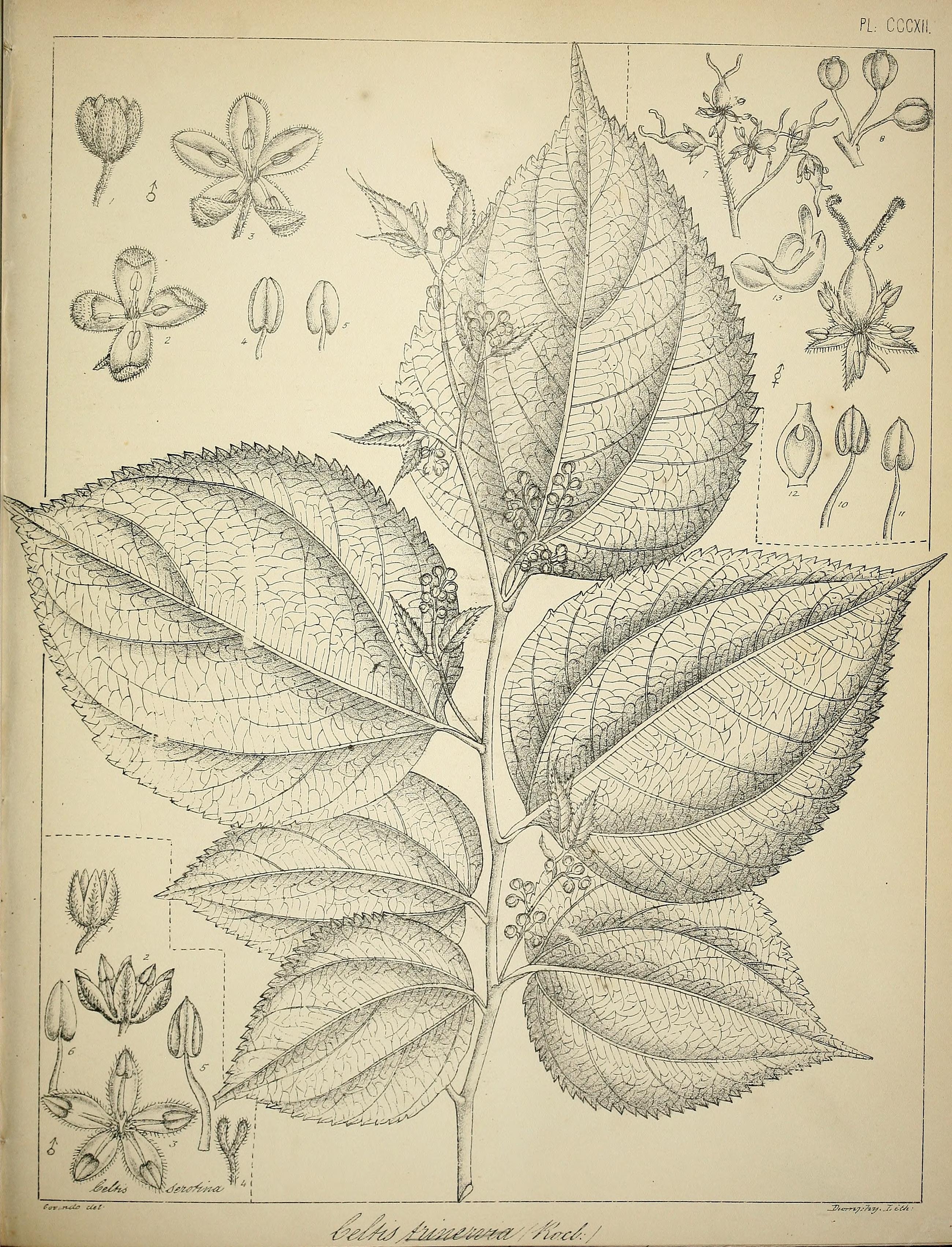 no full size  illustration available (3a)