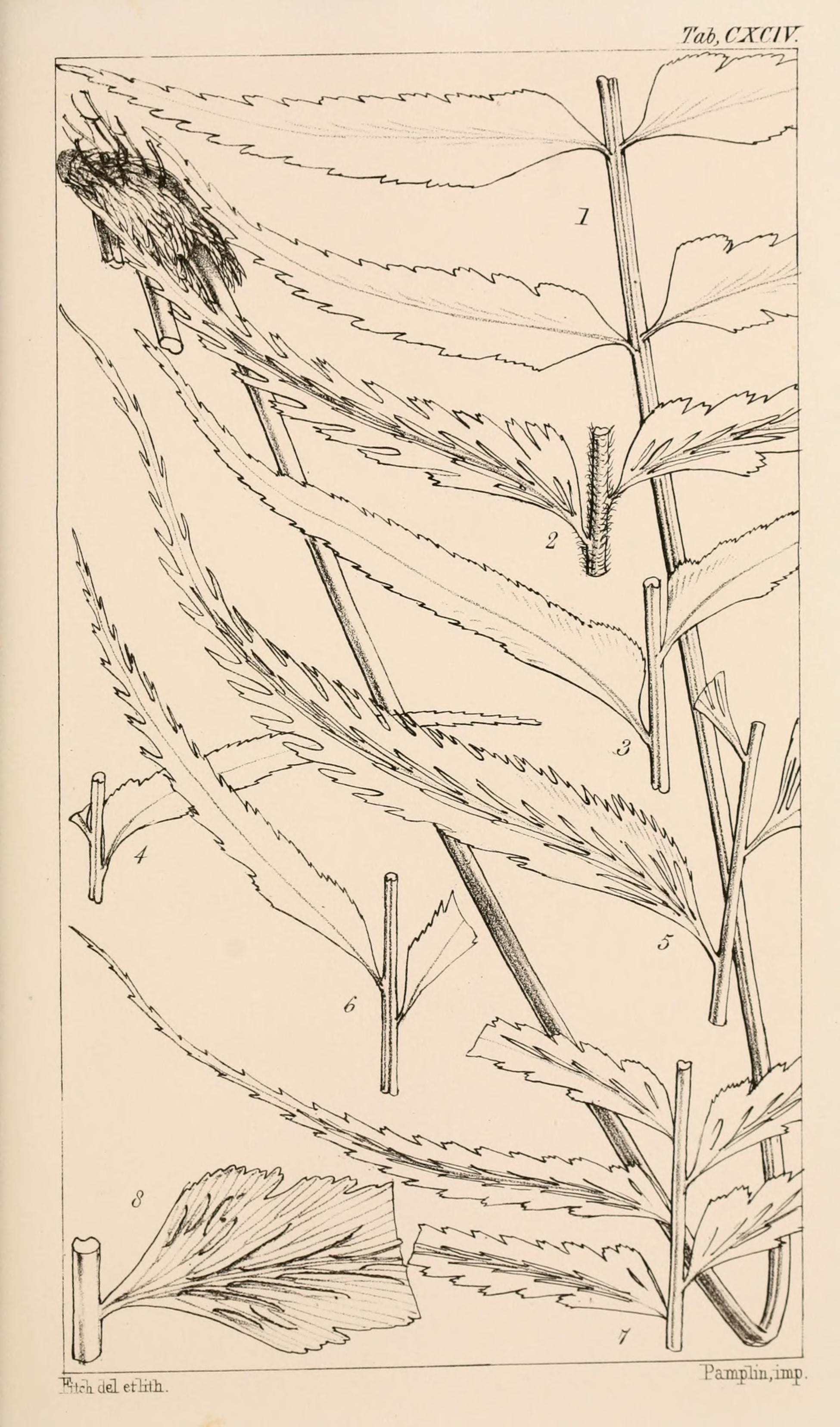 no full size  illustration available (3a)