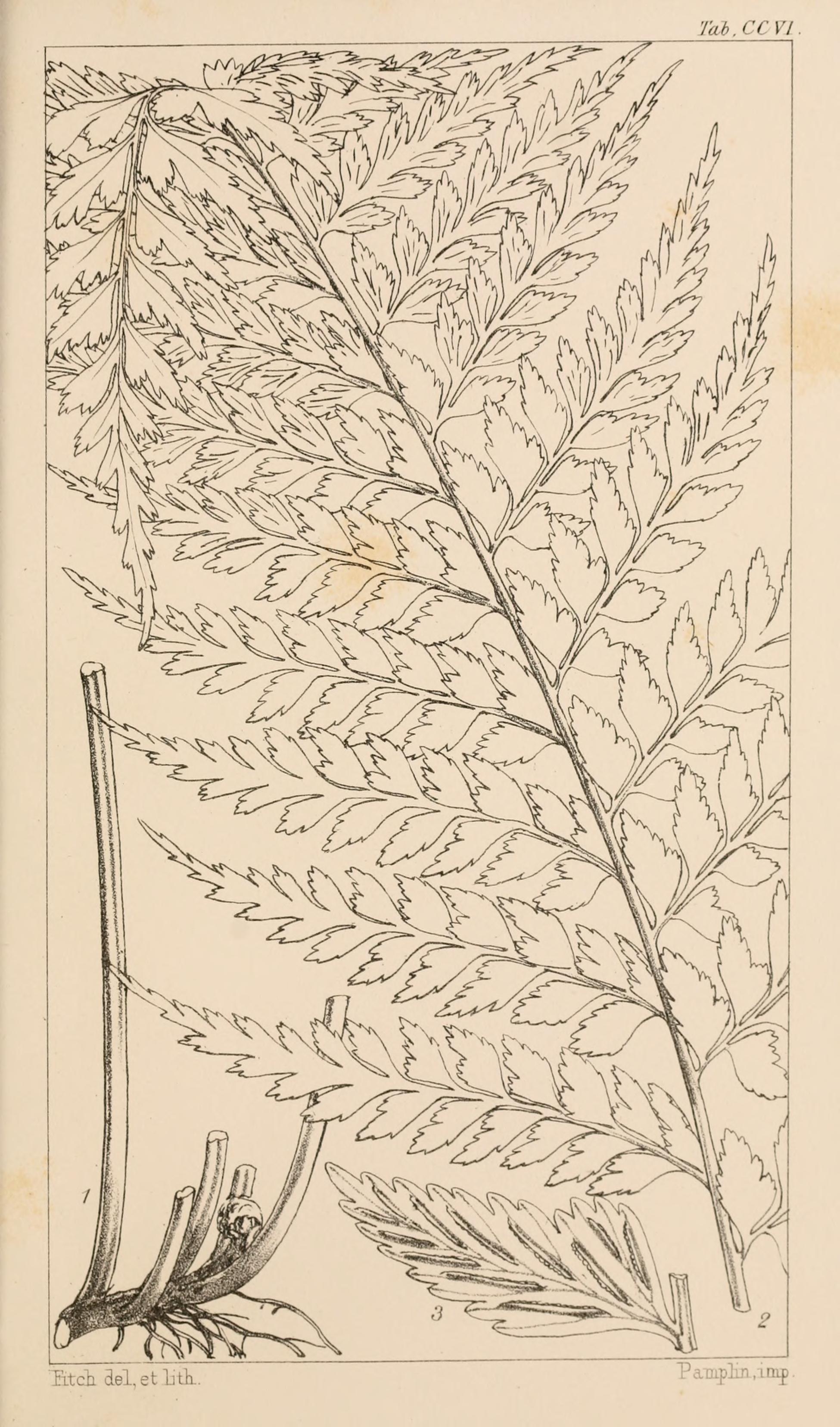 no full size  illustration available (3a)