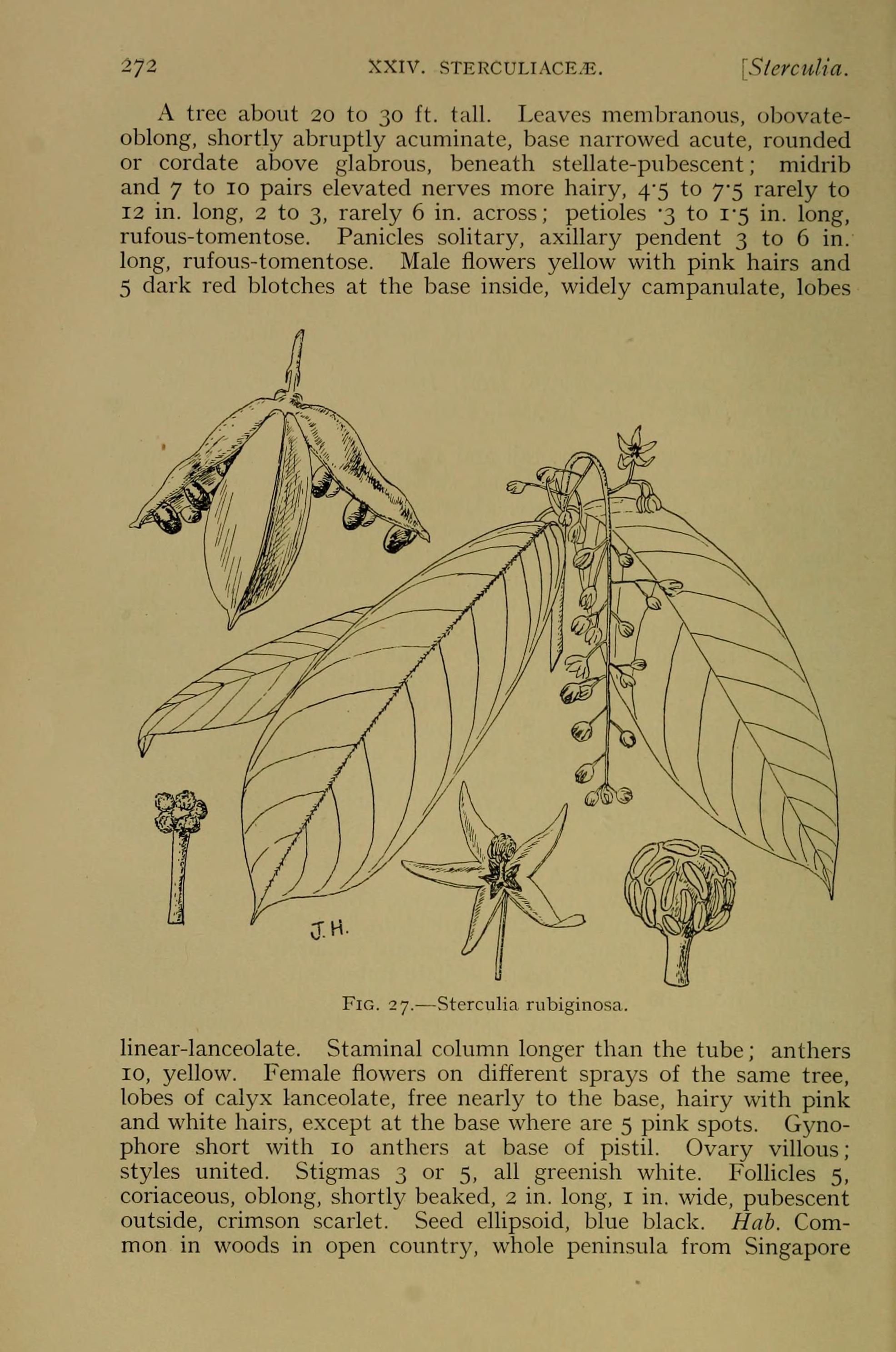 no full size  illustration available (3a)