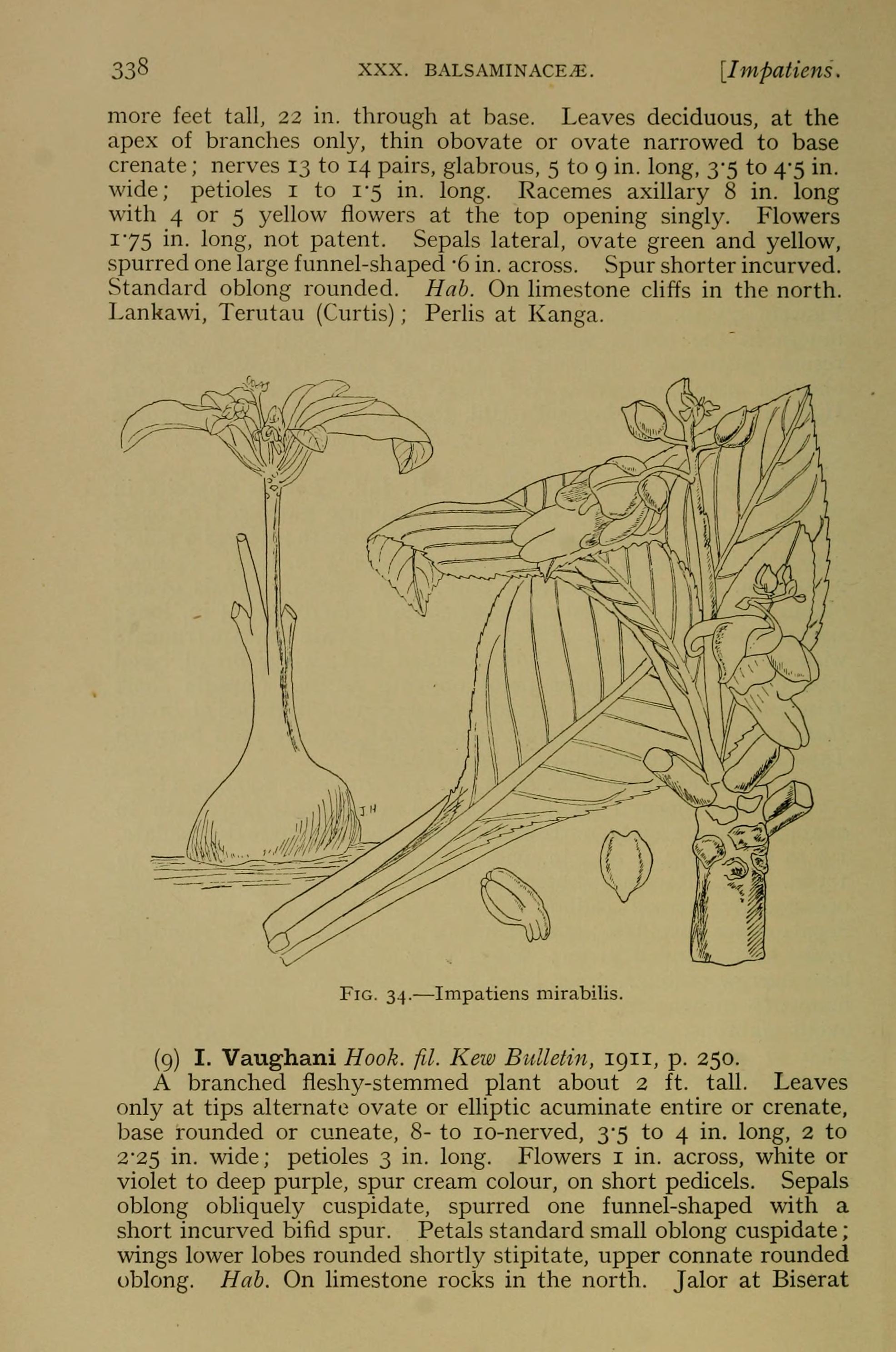 no full size  illustration available (3a)