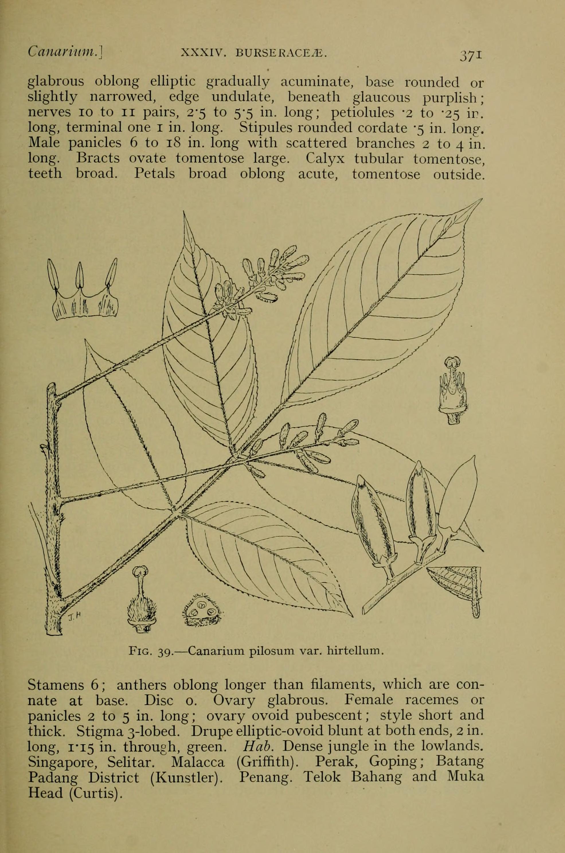 no full size  illustration available (3a)