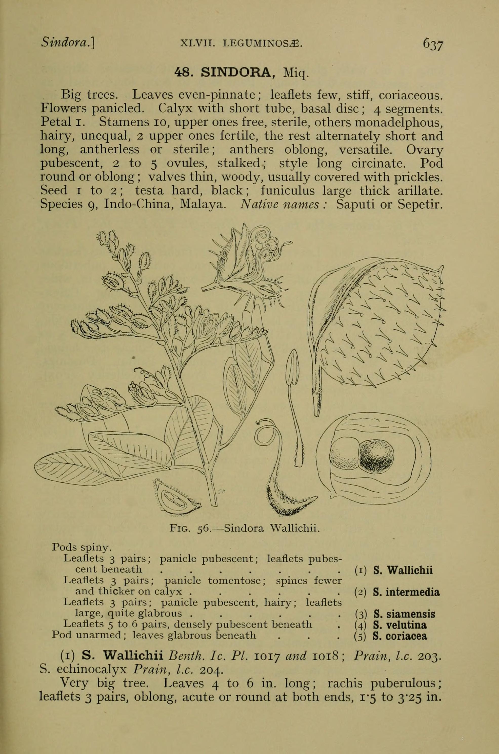 no full size  illustration available (3a)