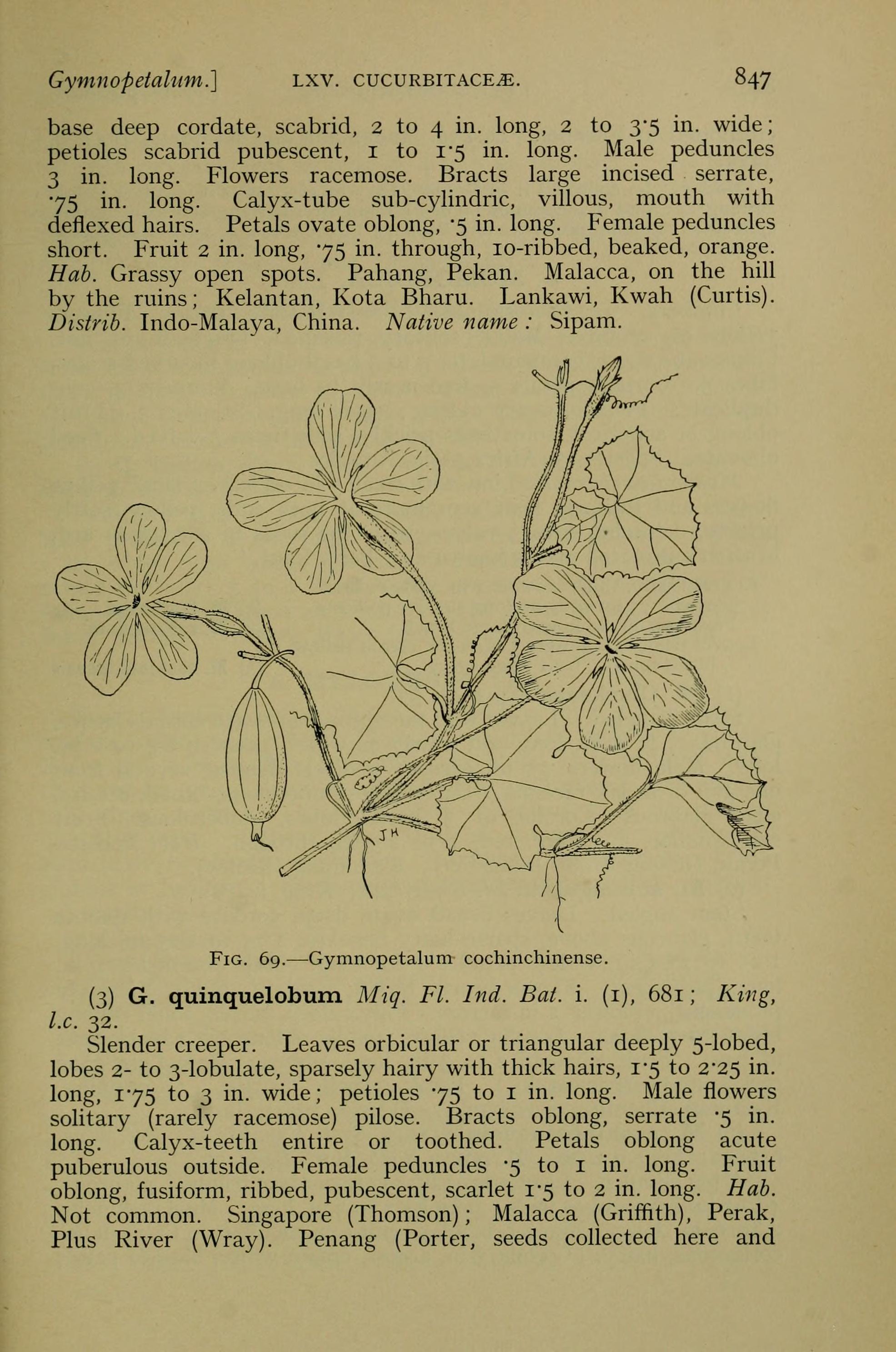 no full size  illustration available (3a)