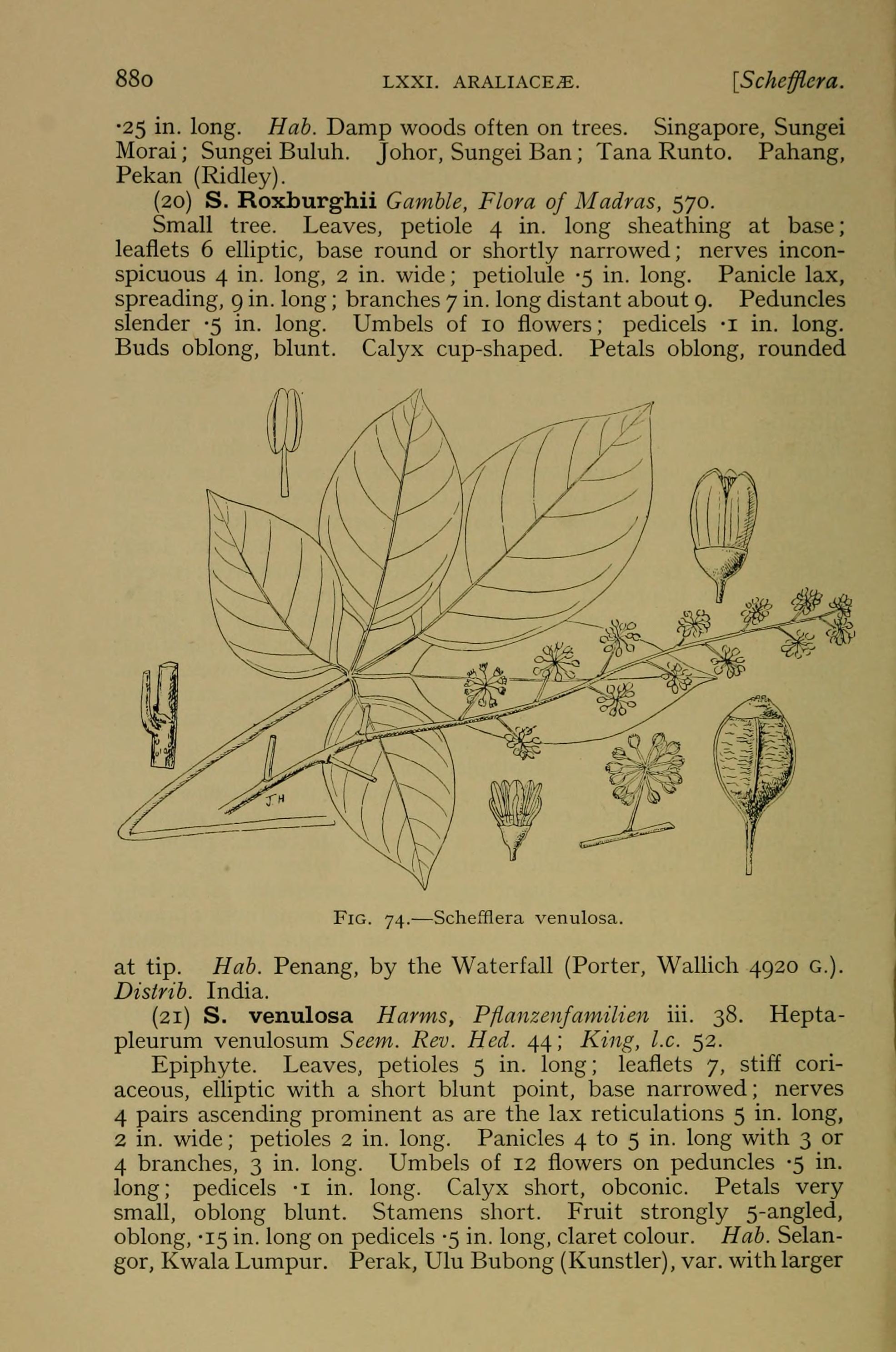 no full size  illustration available (3a)