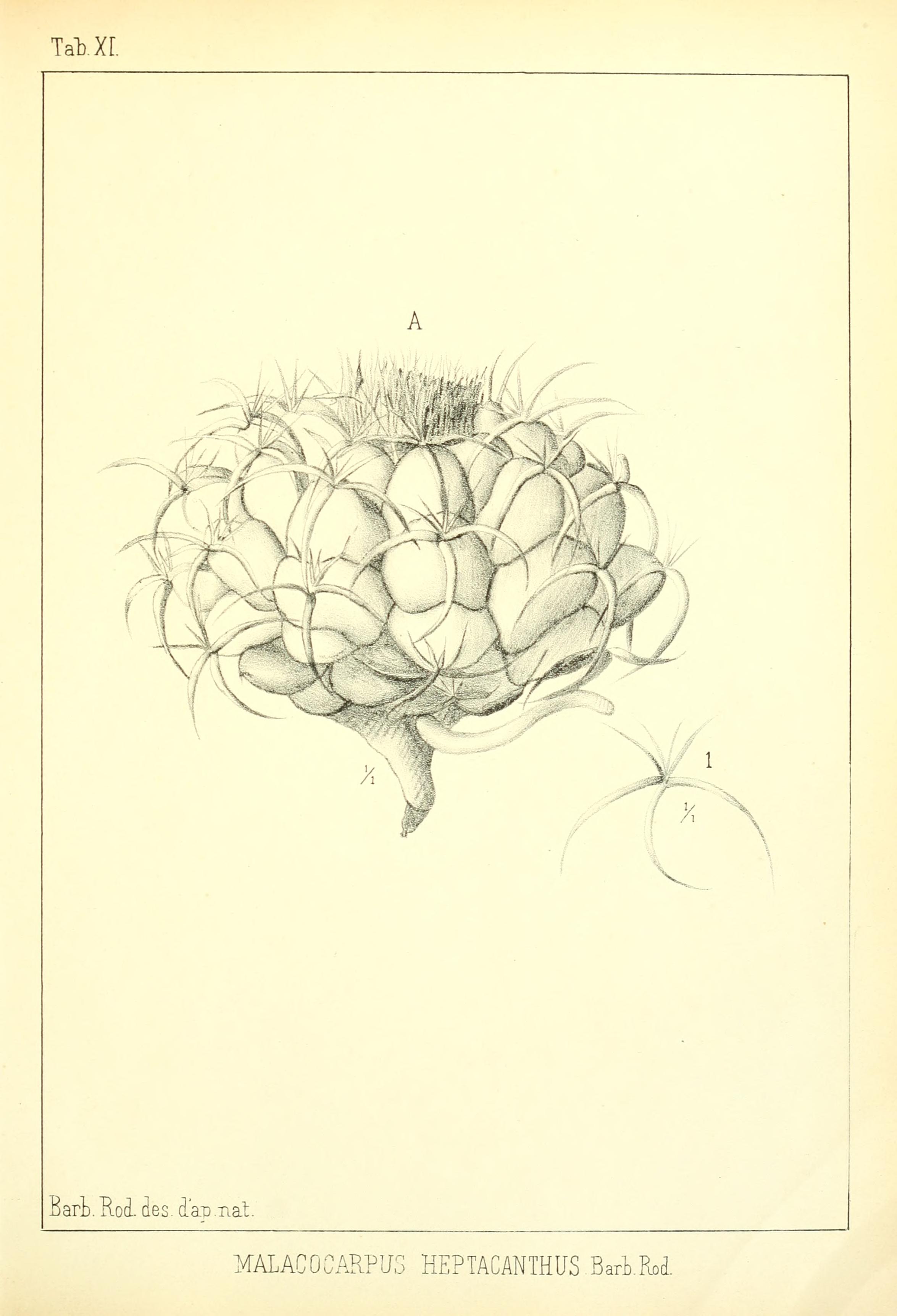 no full size  illustration available (3a)