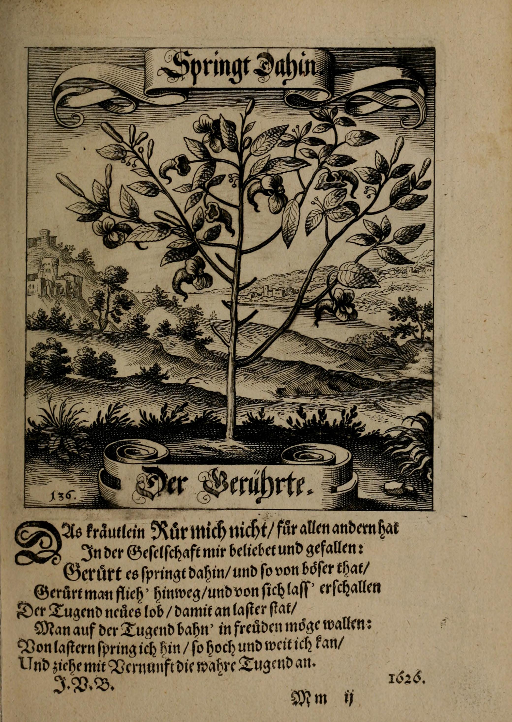 no full size  illustration available (3a)