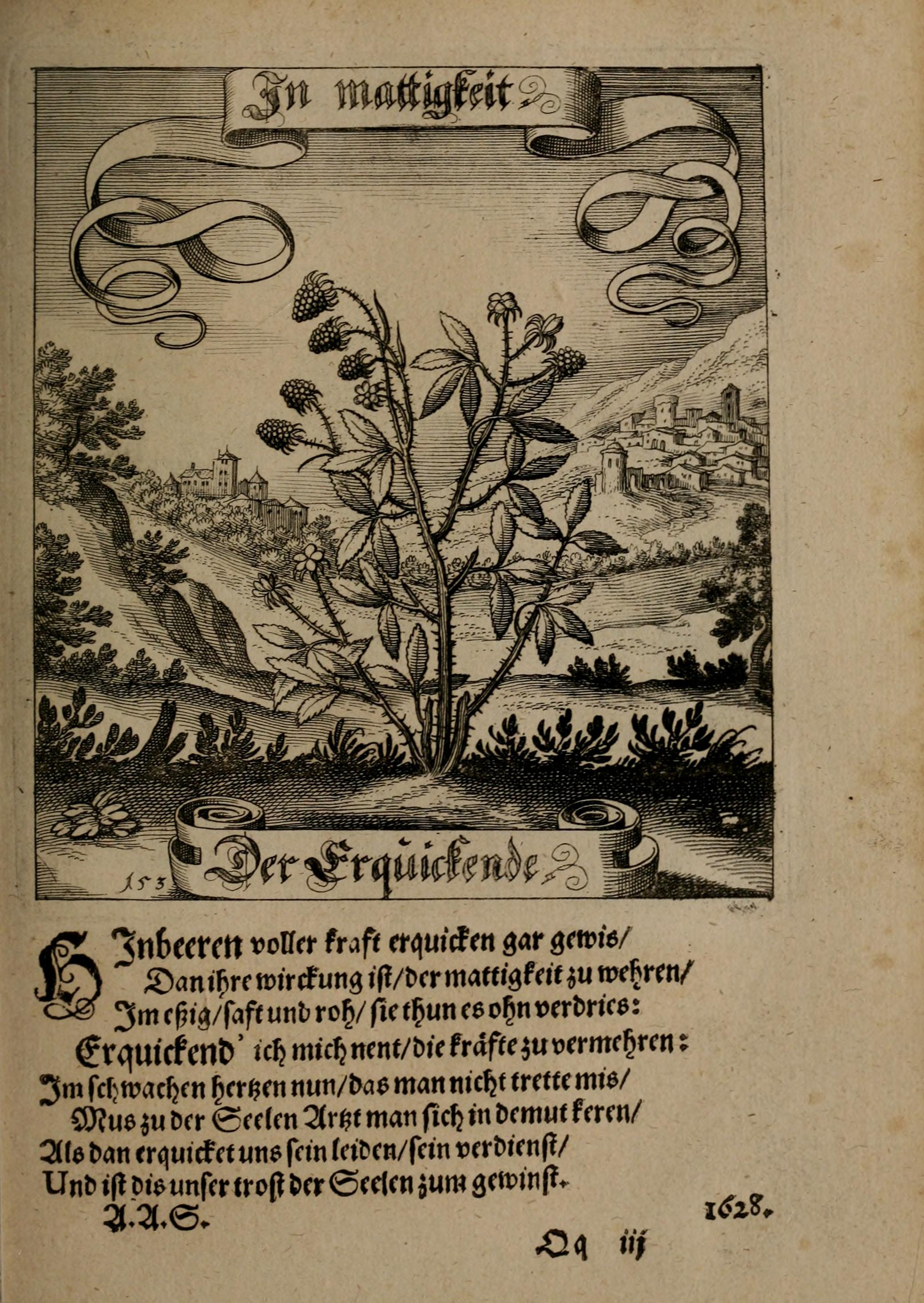 no full size  illustration available (3a)