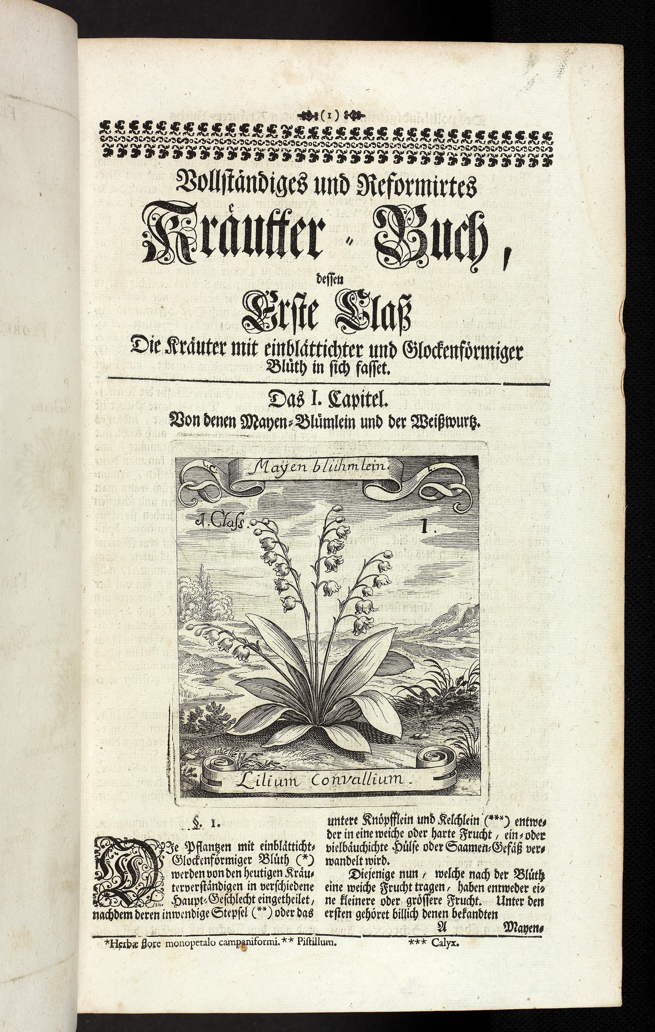 no full size  illustration available (3a)