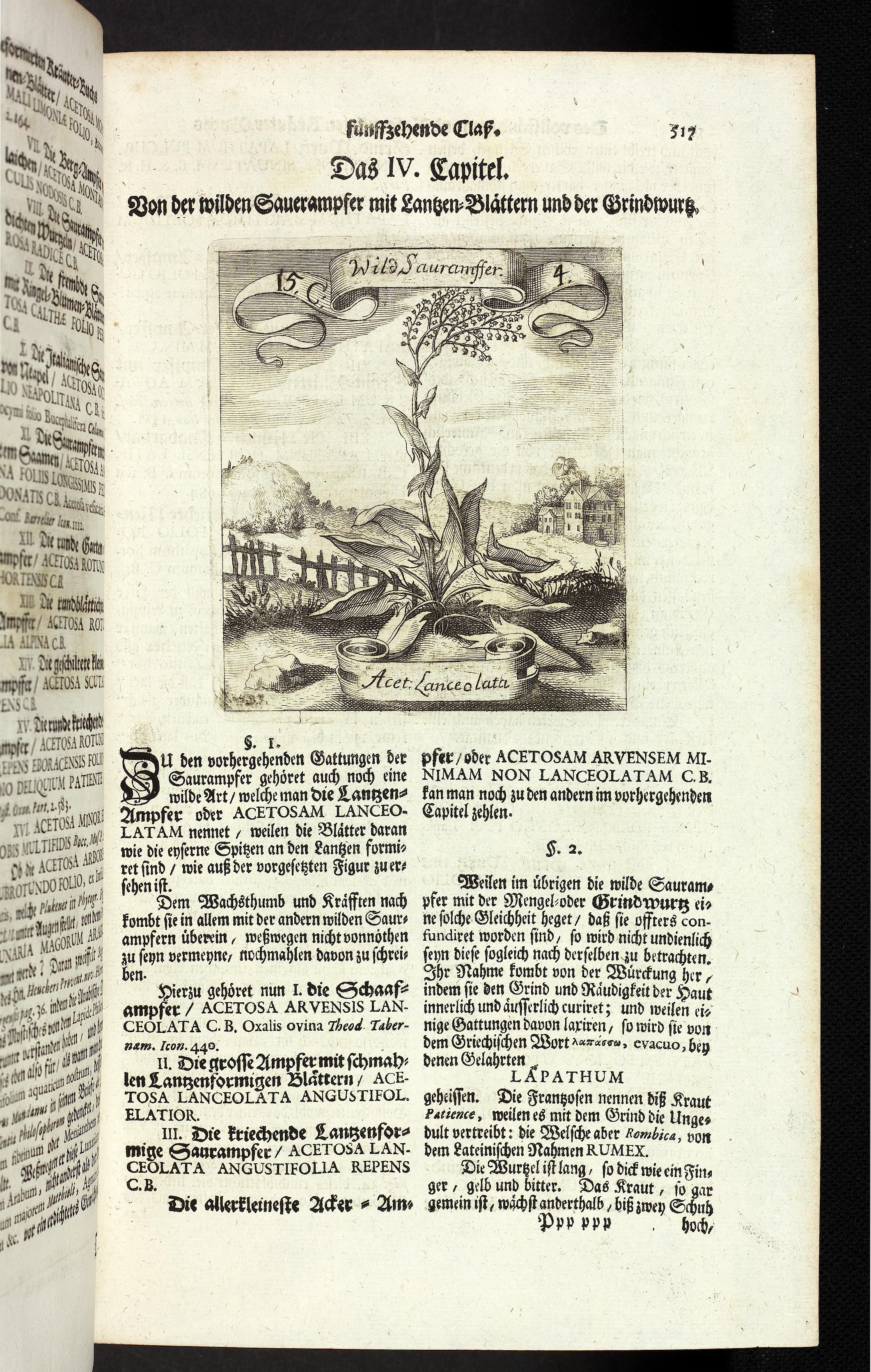 no full size  illustration available (3a)