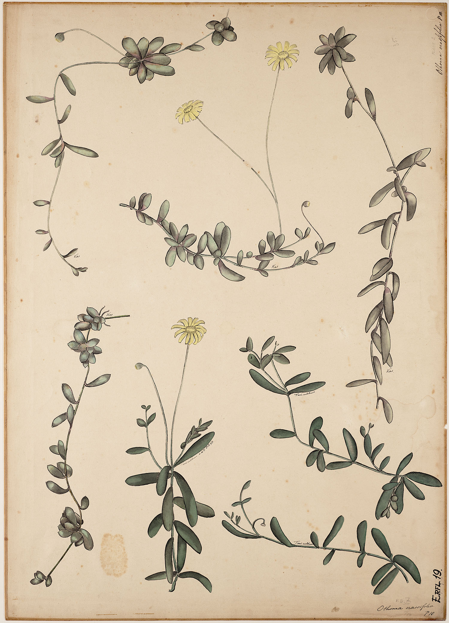 no full size  illustration available (3a)