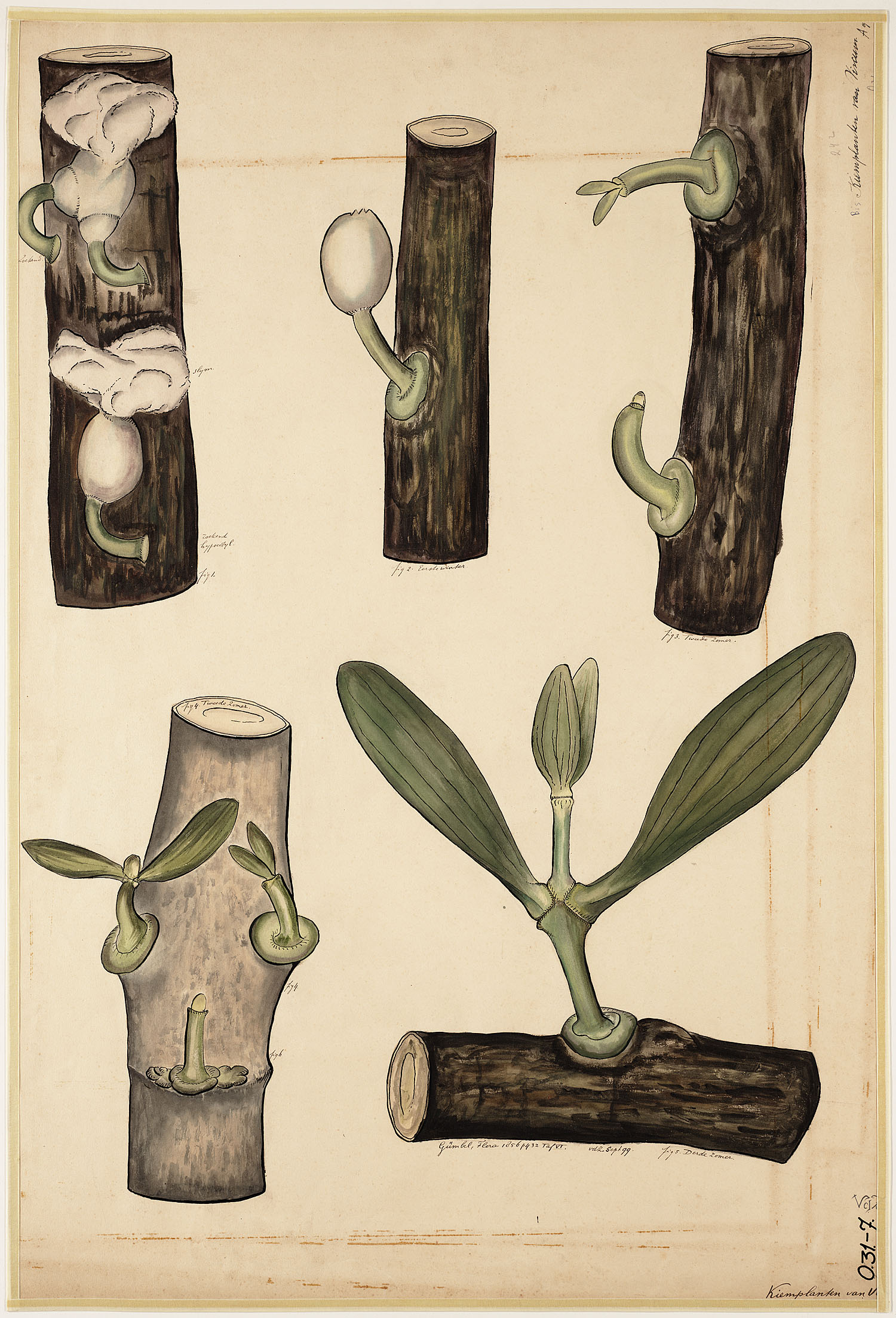 no full size  illustration available (3a)