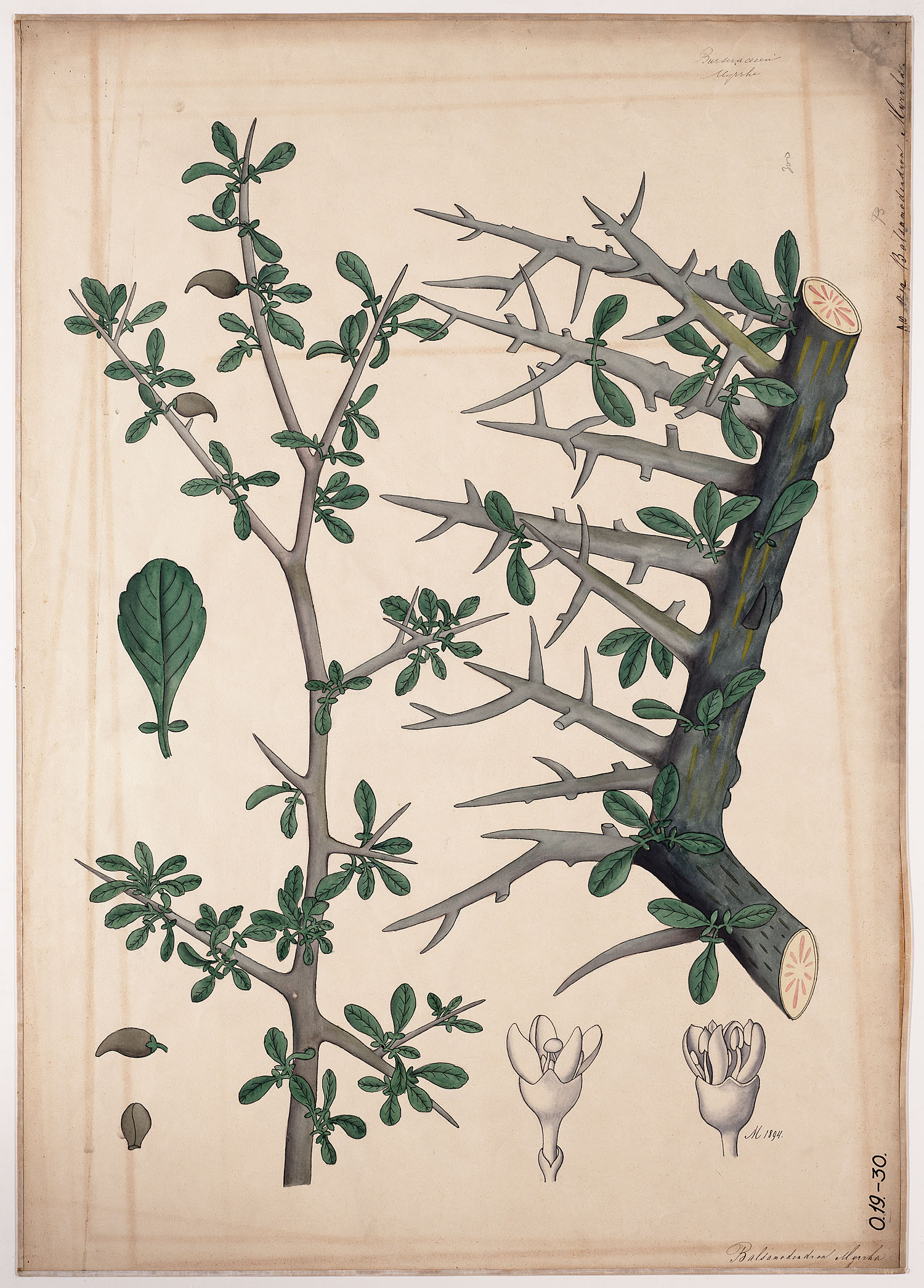 no full size  illustration available (3a)