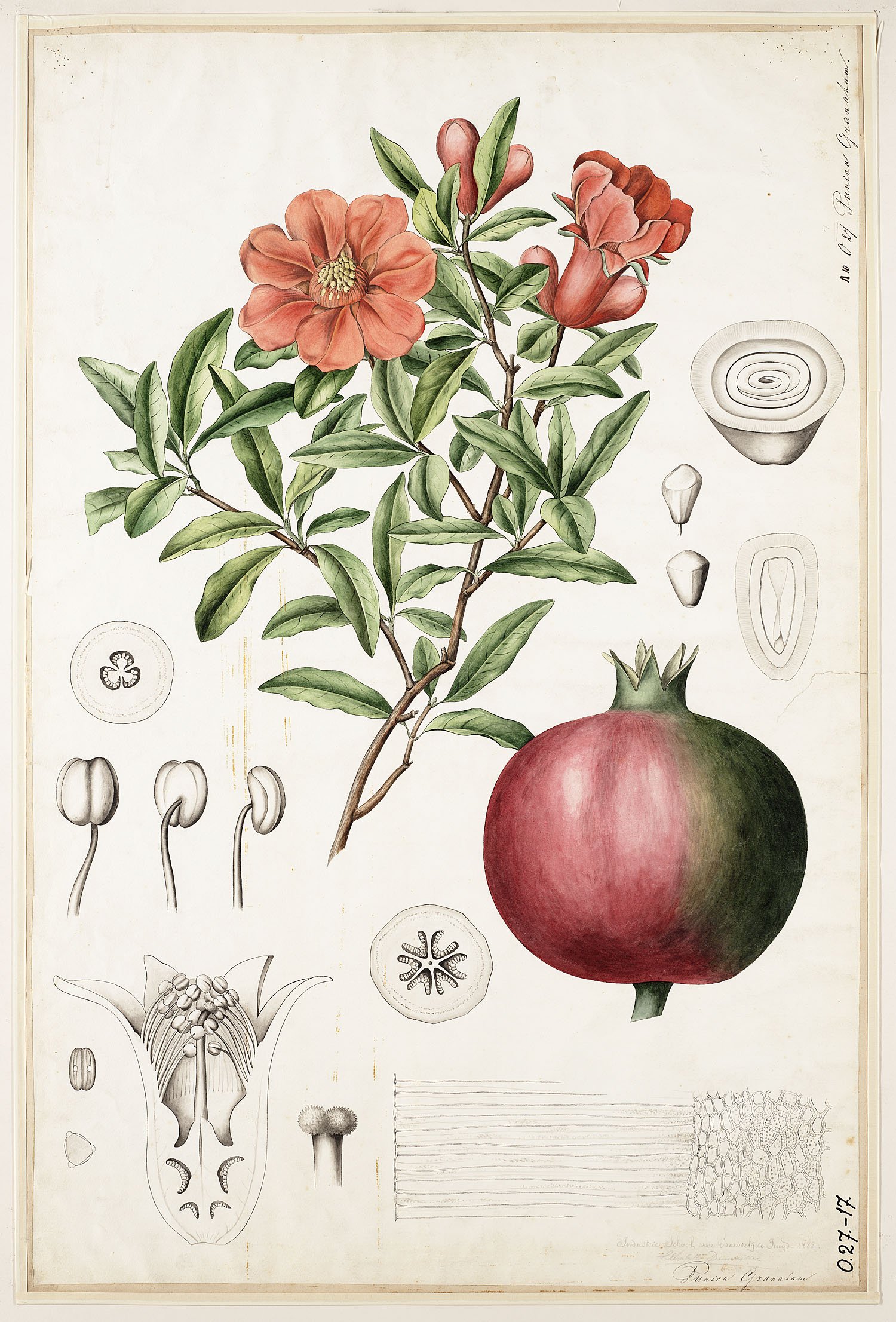 no full size  illustration available (3a)