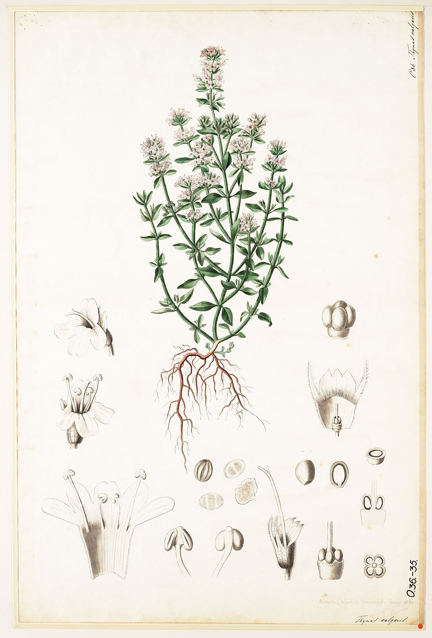 no full size  illustration available (3a)