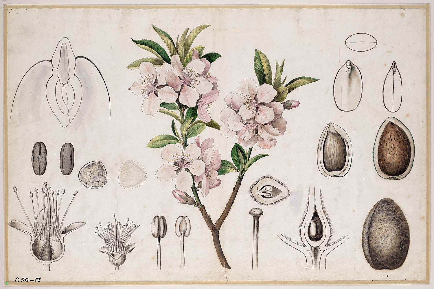 no full size  illustration available (3a)