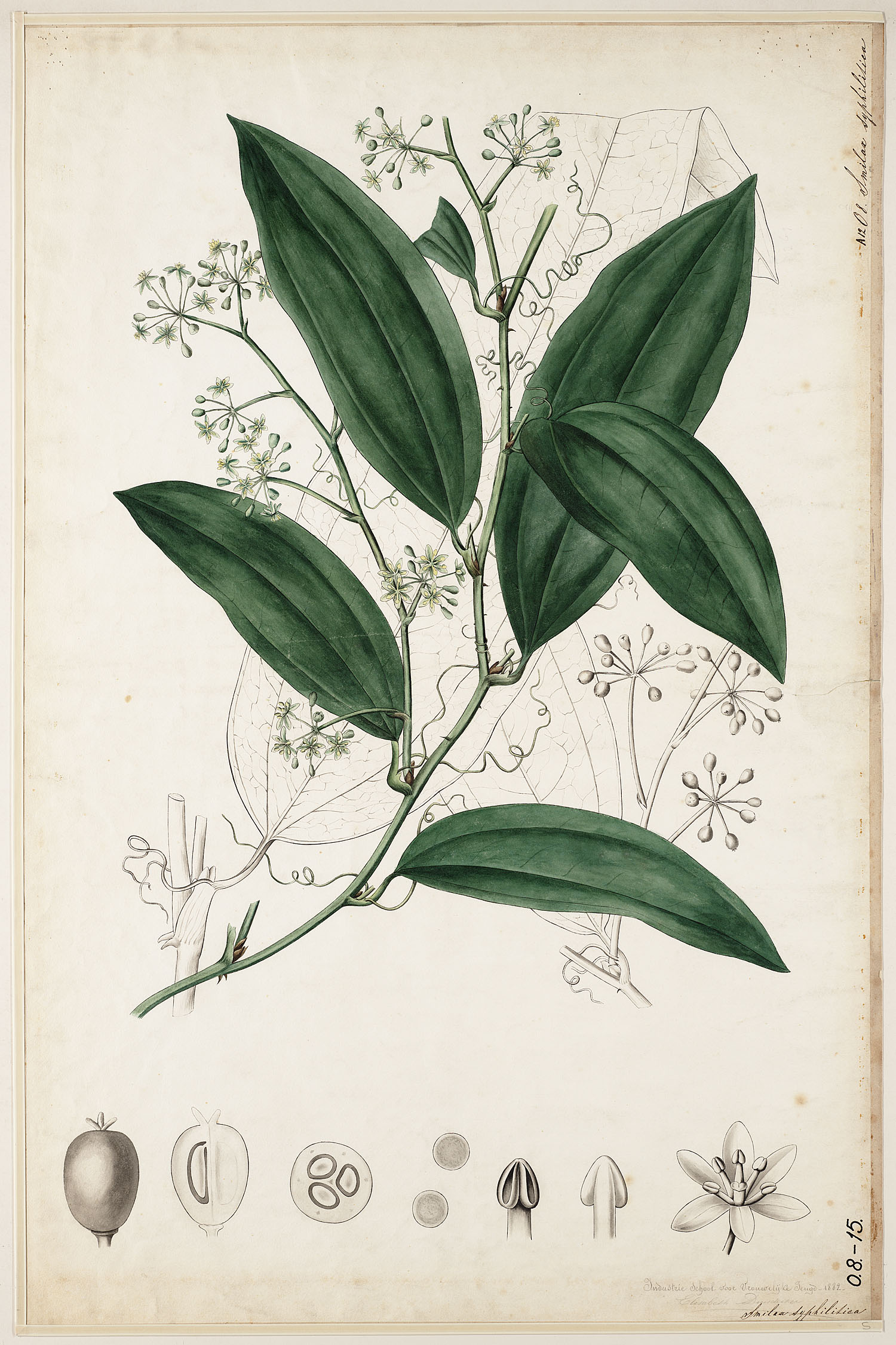 no full size  illustration available (3a)