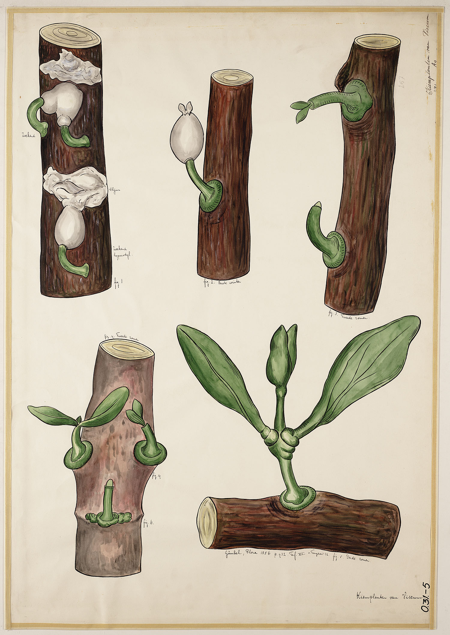 no full size  illustration available (3a)