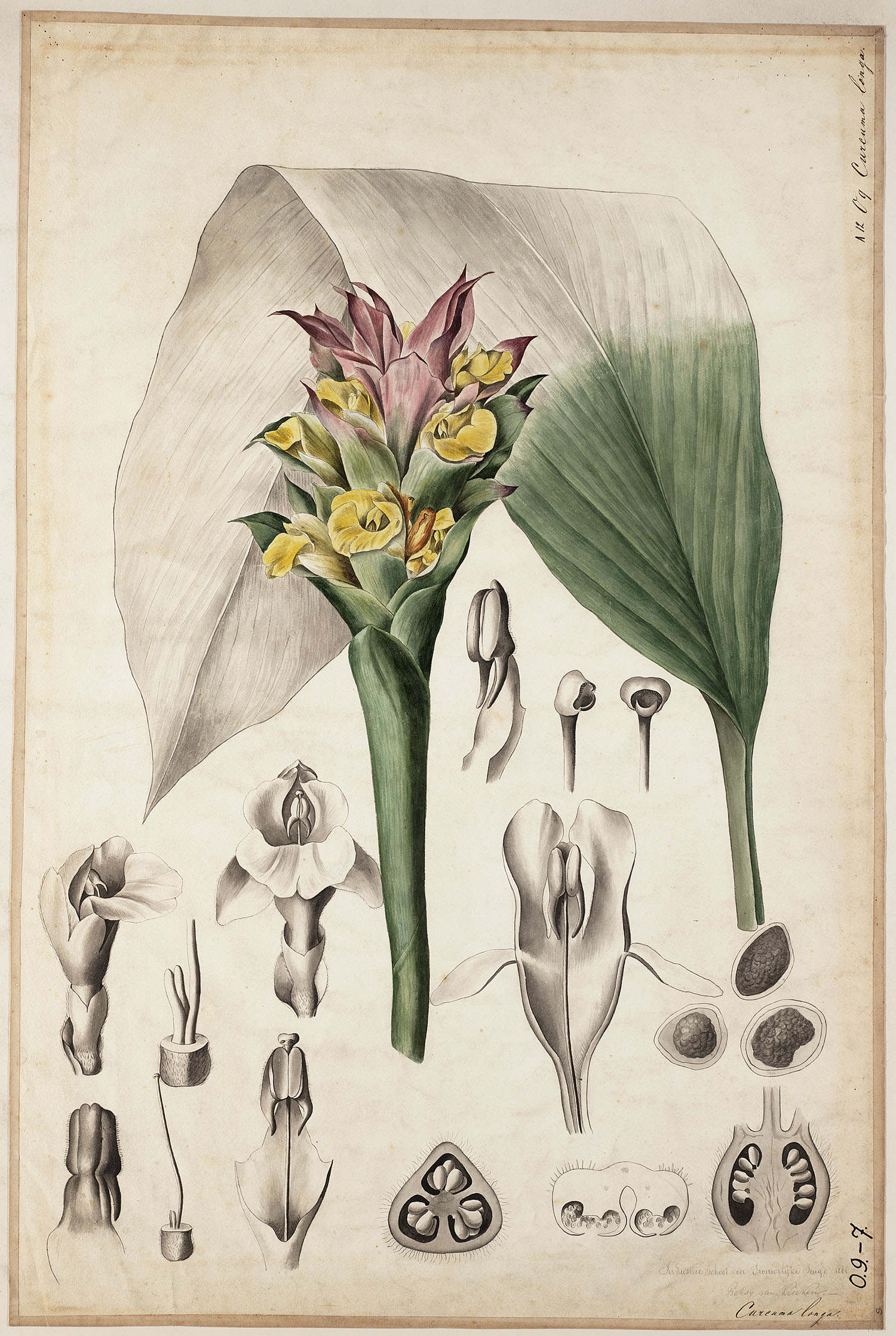 no full size  illustration available (3a)