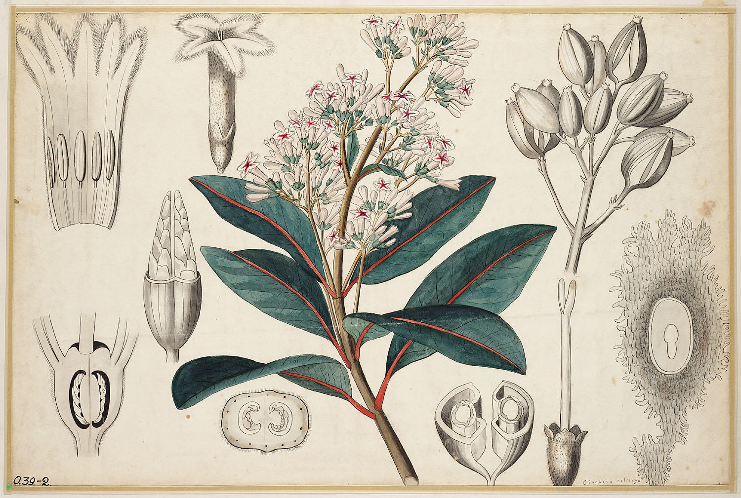 no full size  illustration available (3a)