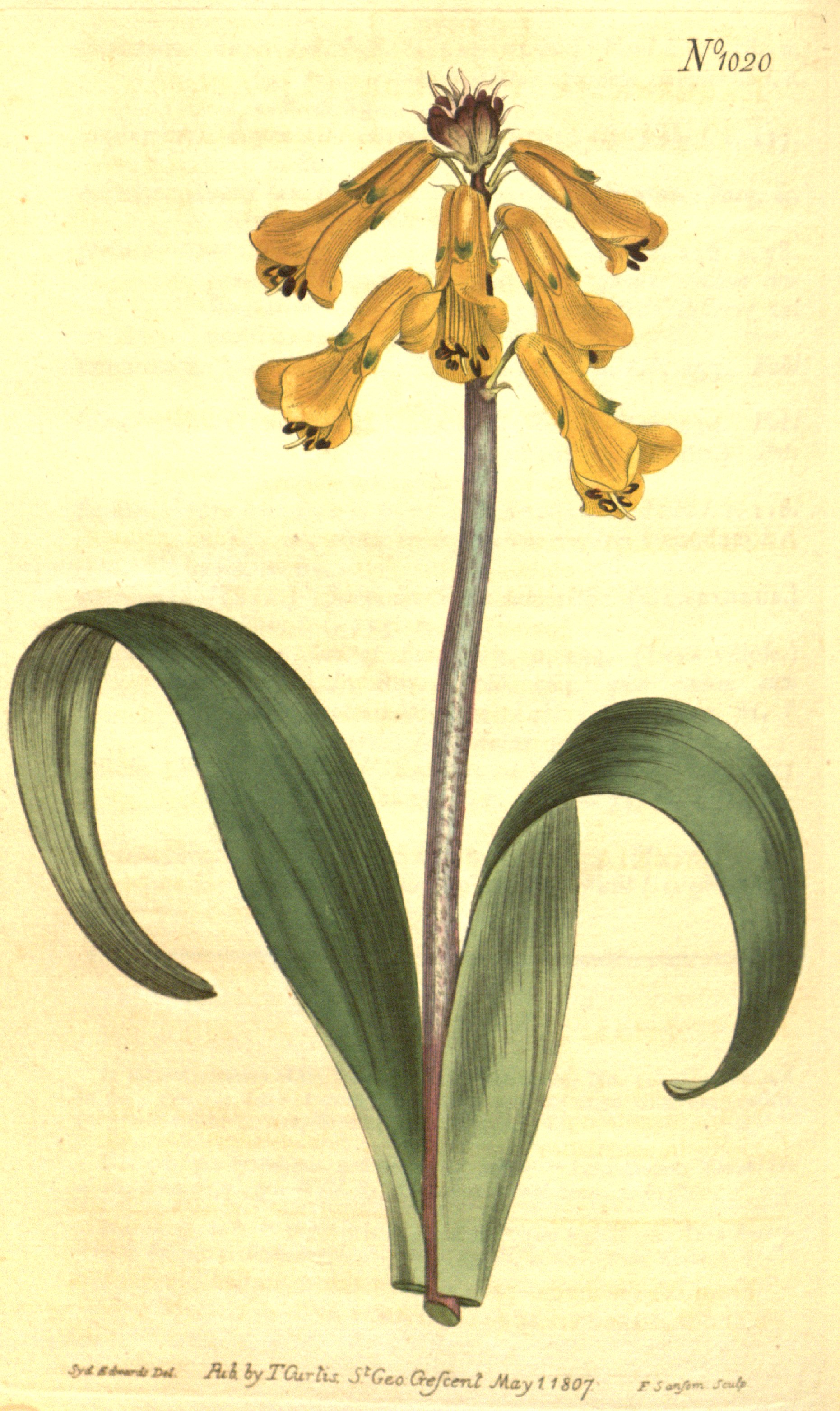 no full size  illustration available (3a)