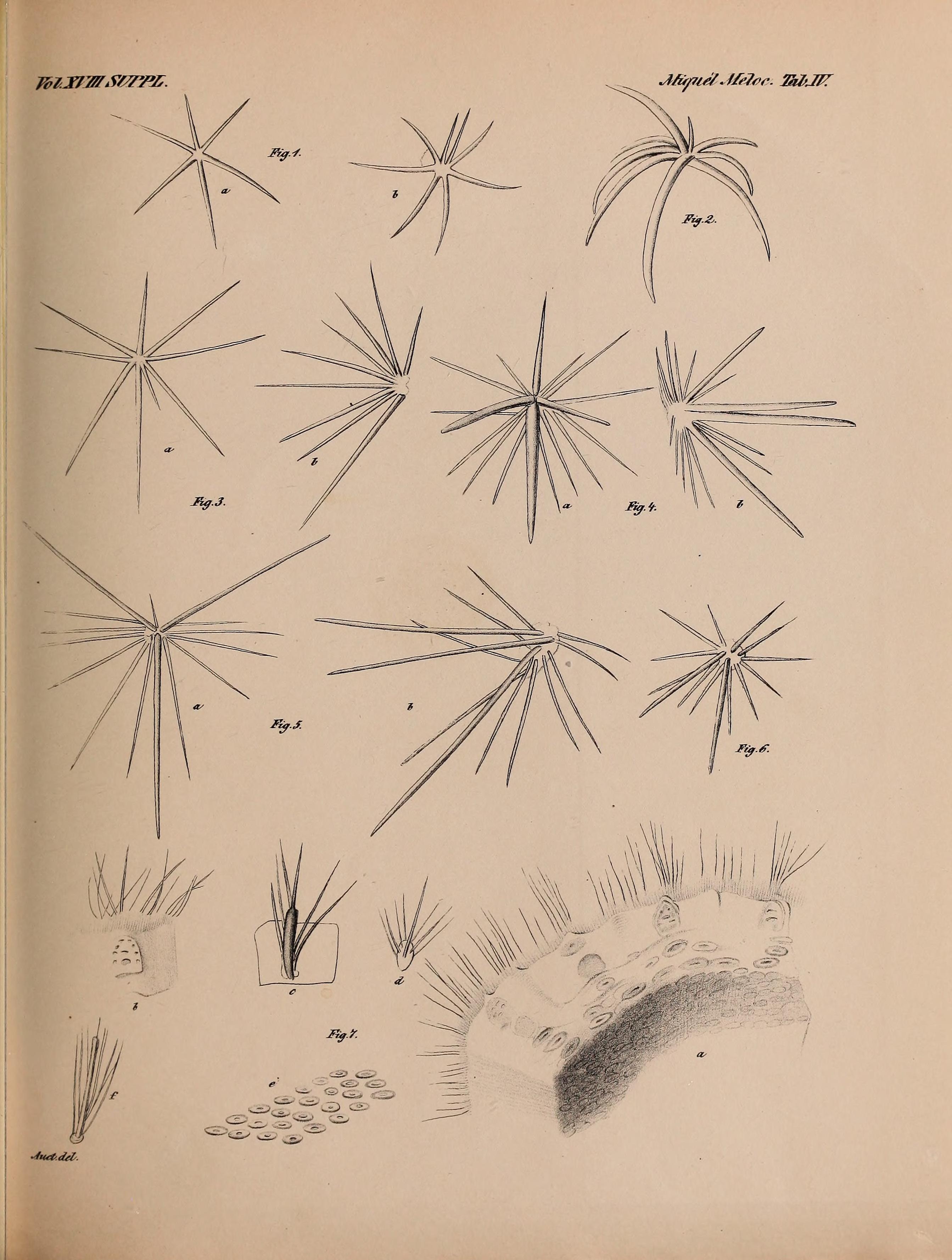 no full size  illustration available (3a)