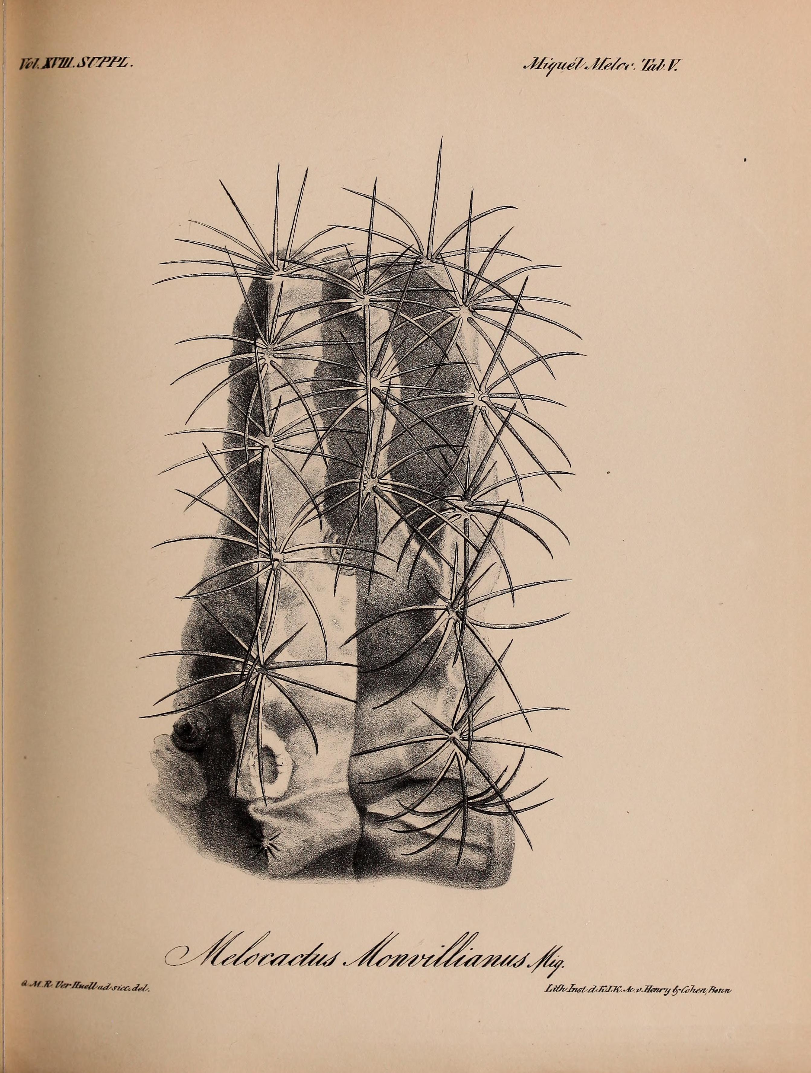 no full size  illustration available (3a)