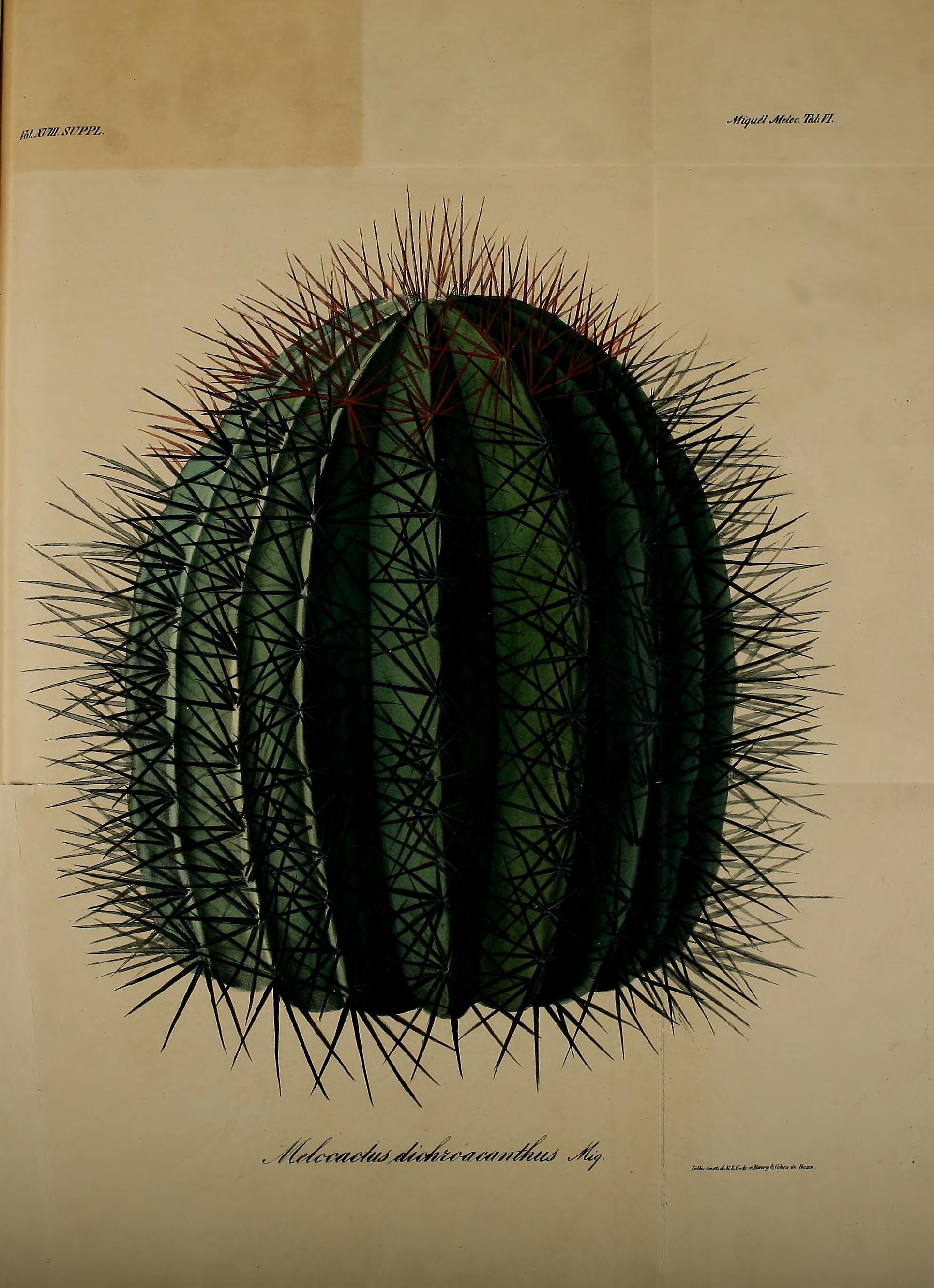 no full size  illustration available (3a)