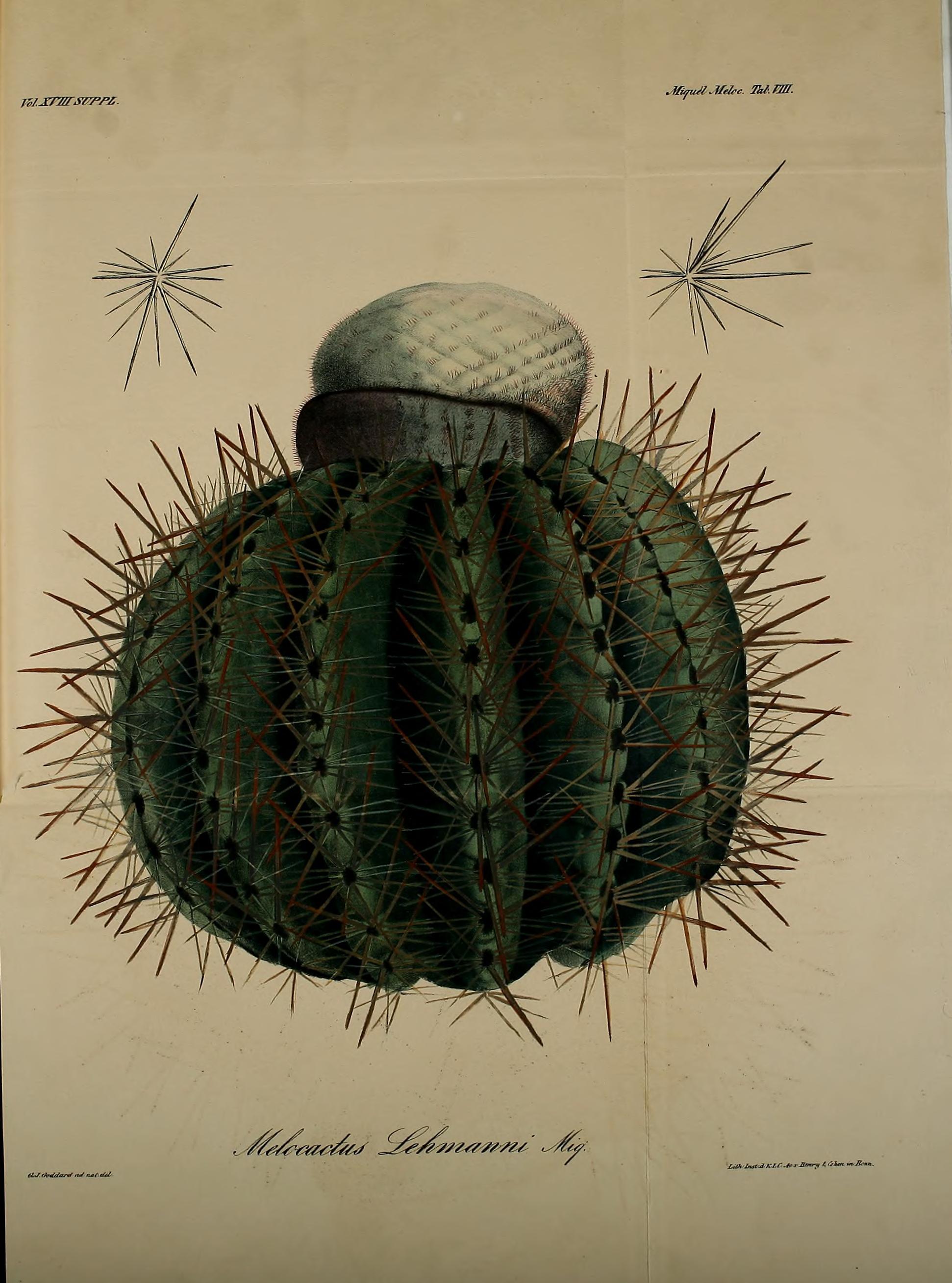 no full size  illustration available (3a)