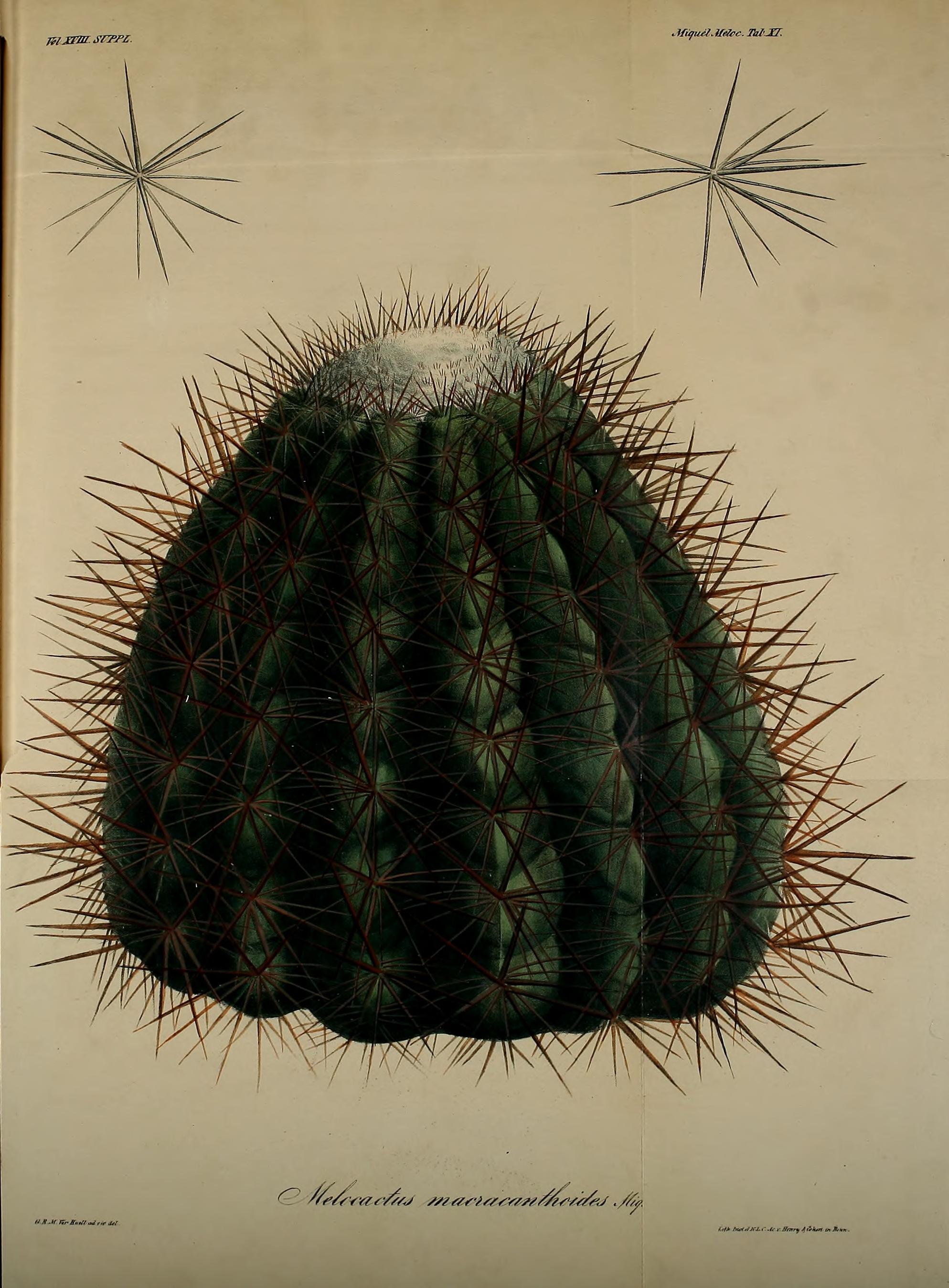 no full size  illustration available (3a)