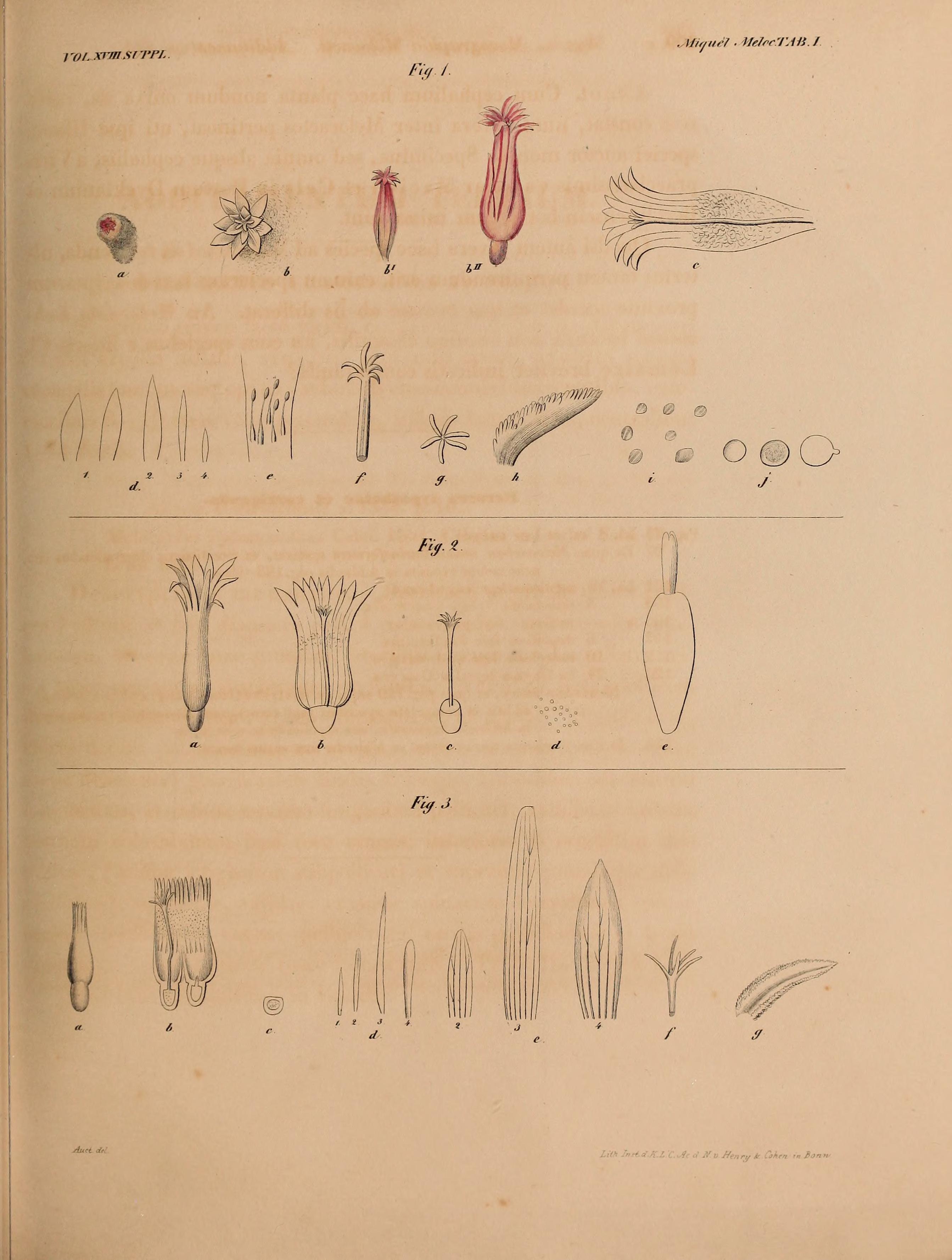 no full size  illustration available (3a)