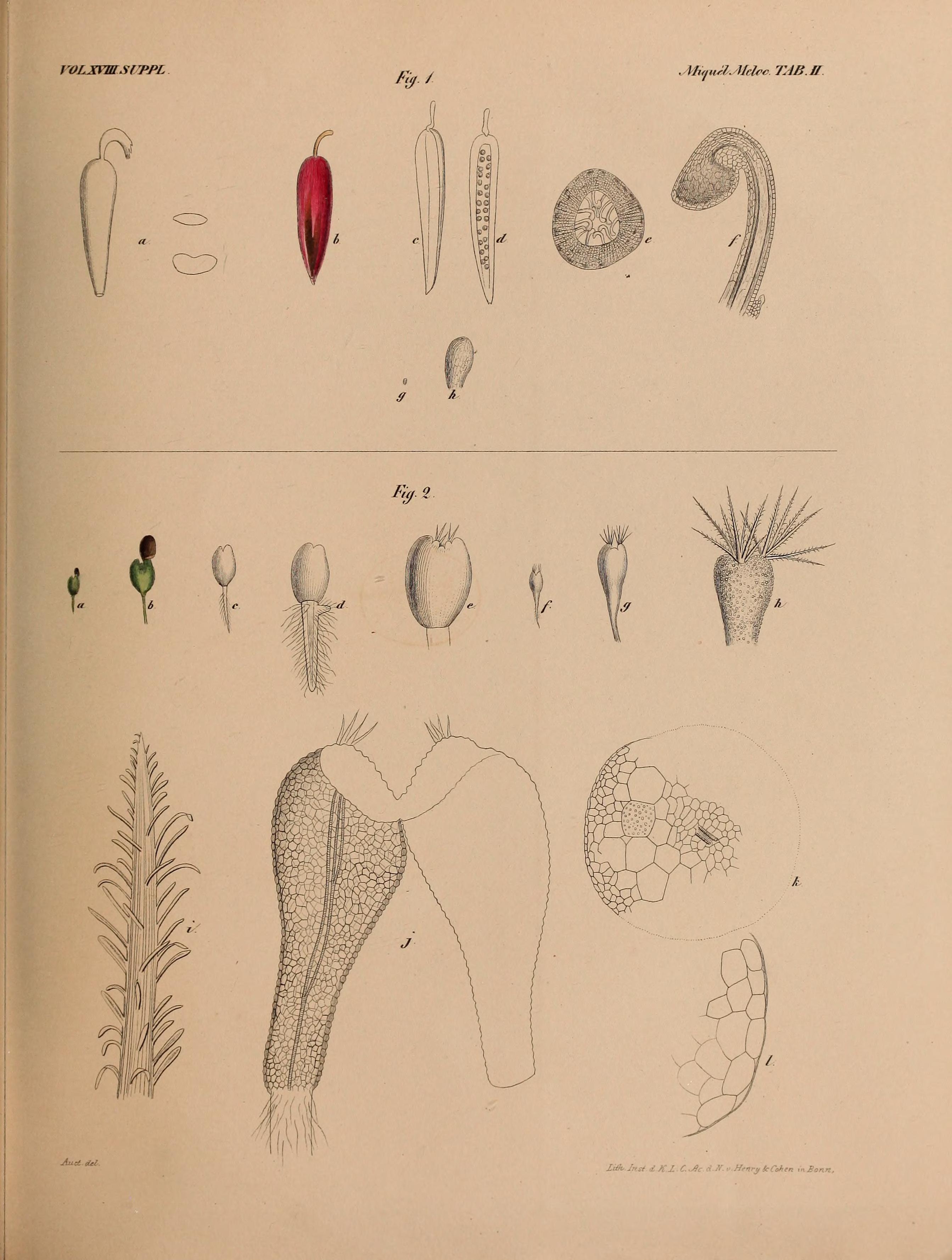 no full size  illustration available (3a)