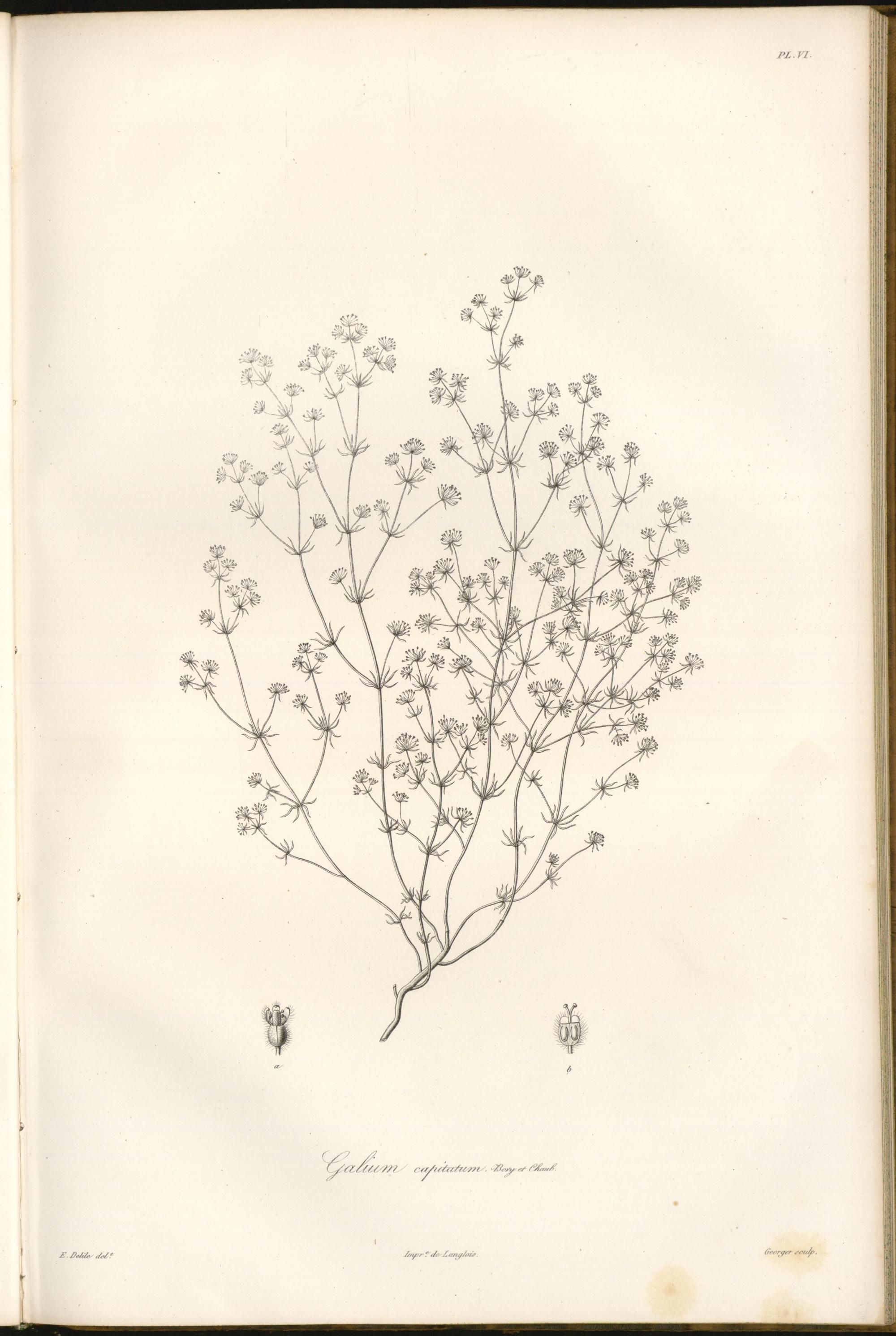 no full size  illustration available (3a)