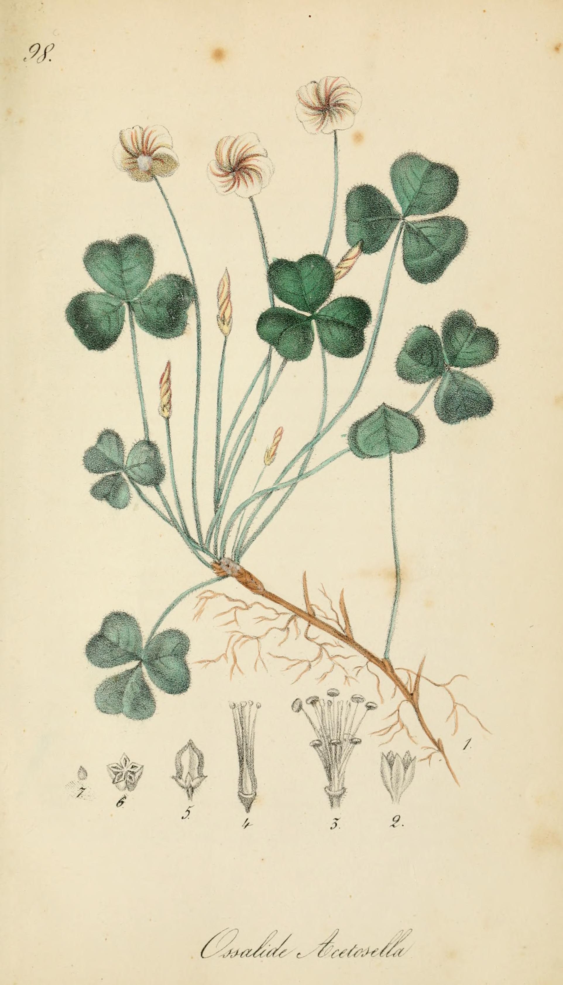 no full size  illustration available (3a)