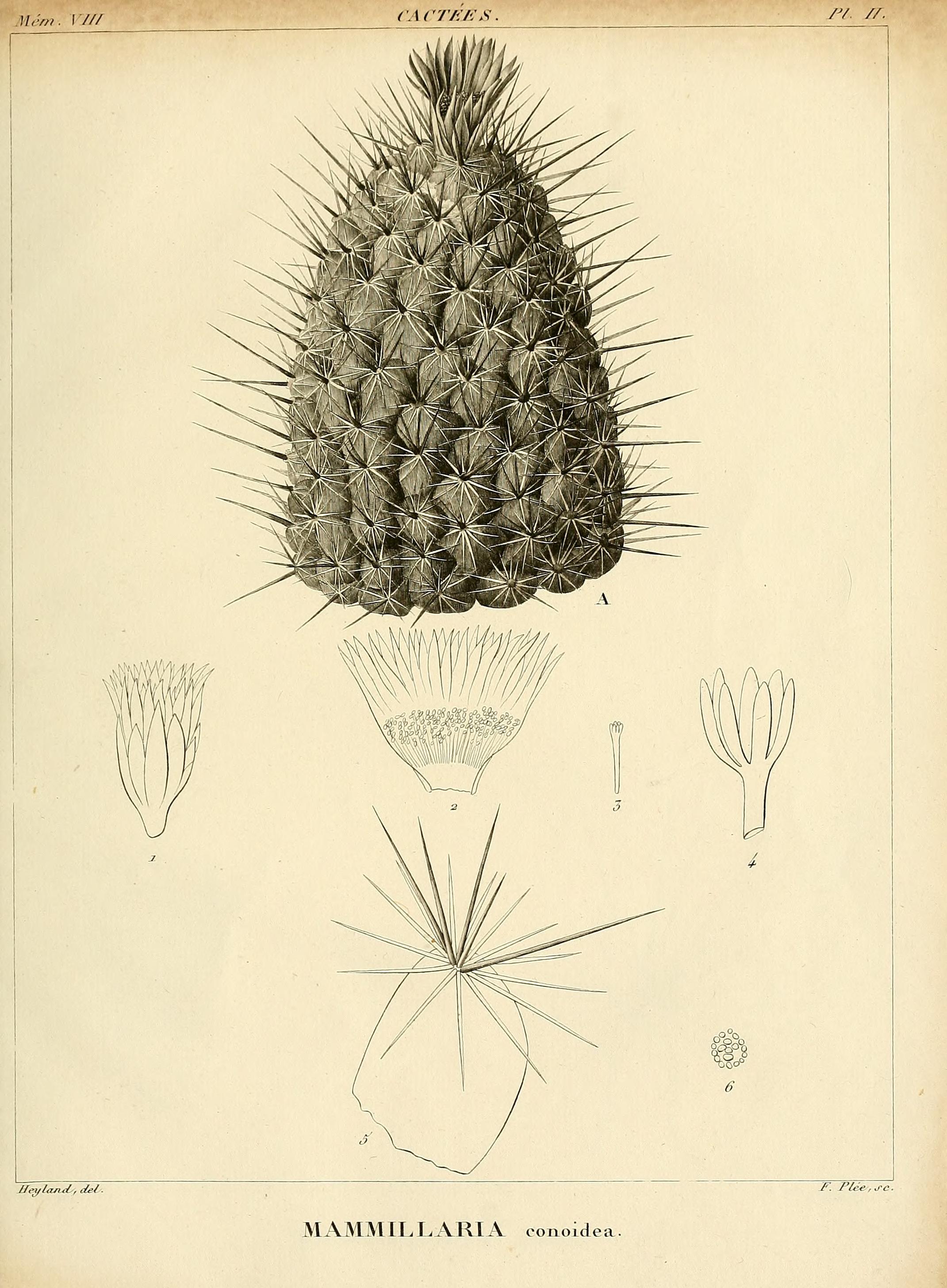 no full size  illustration available (3a)