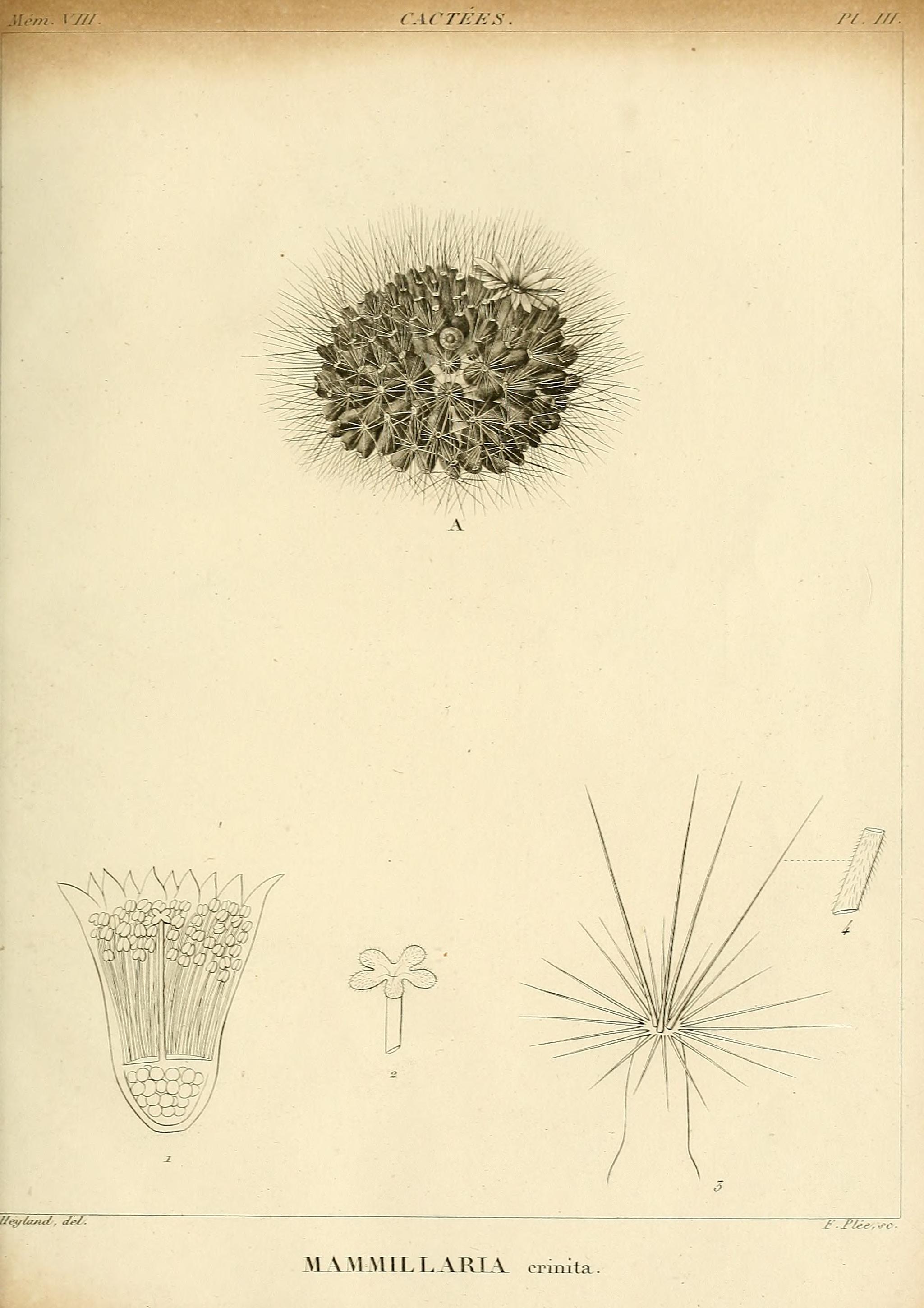 no full size  illustration available (3a)