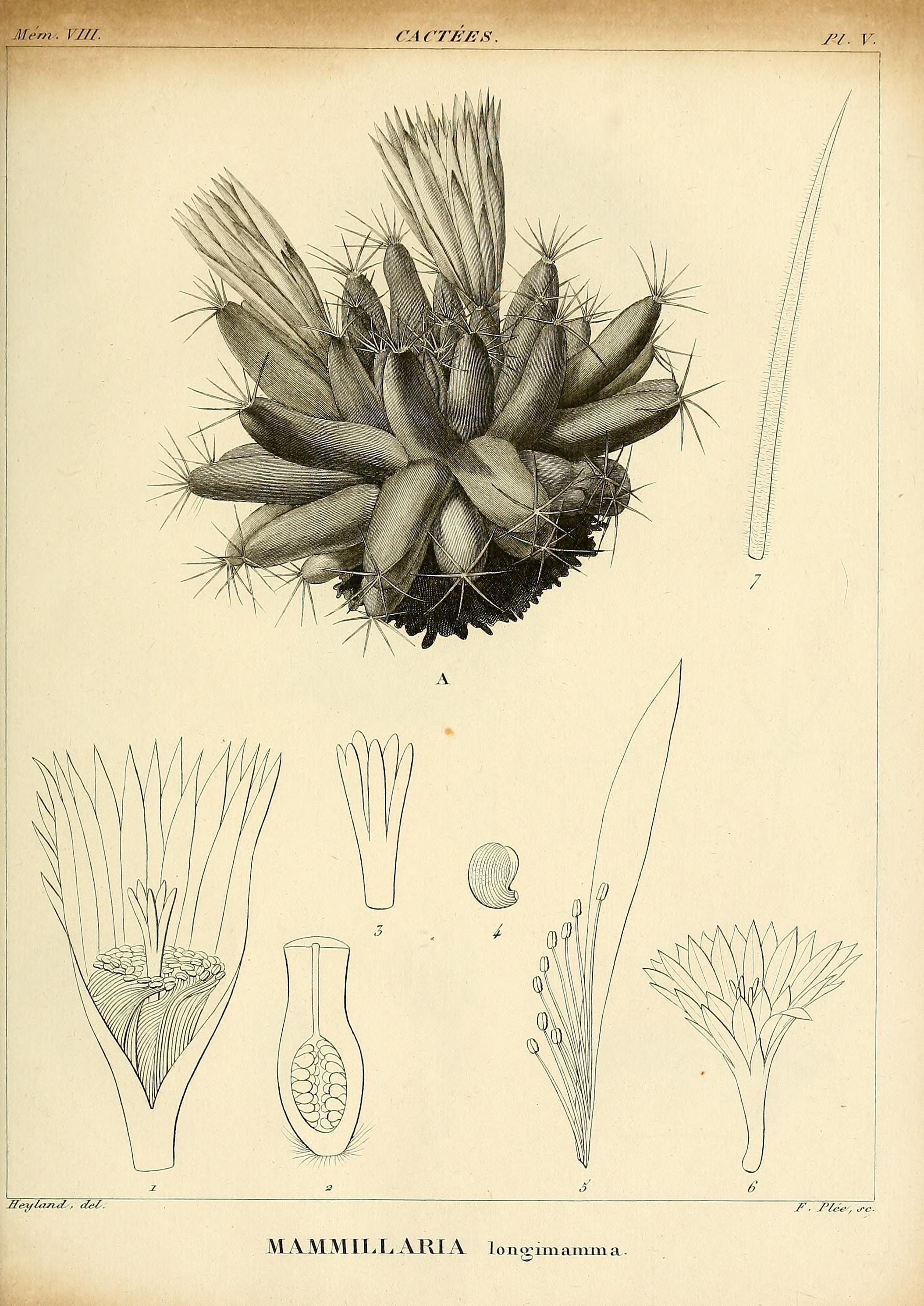 no full size  illustration available (3a)