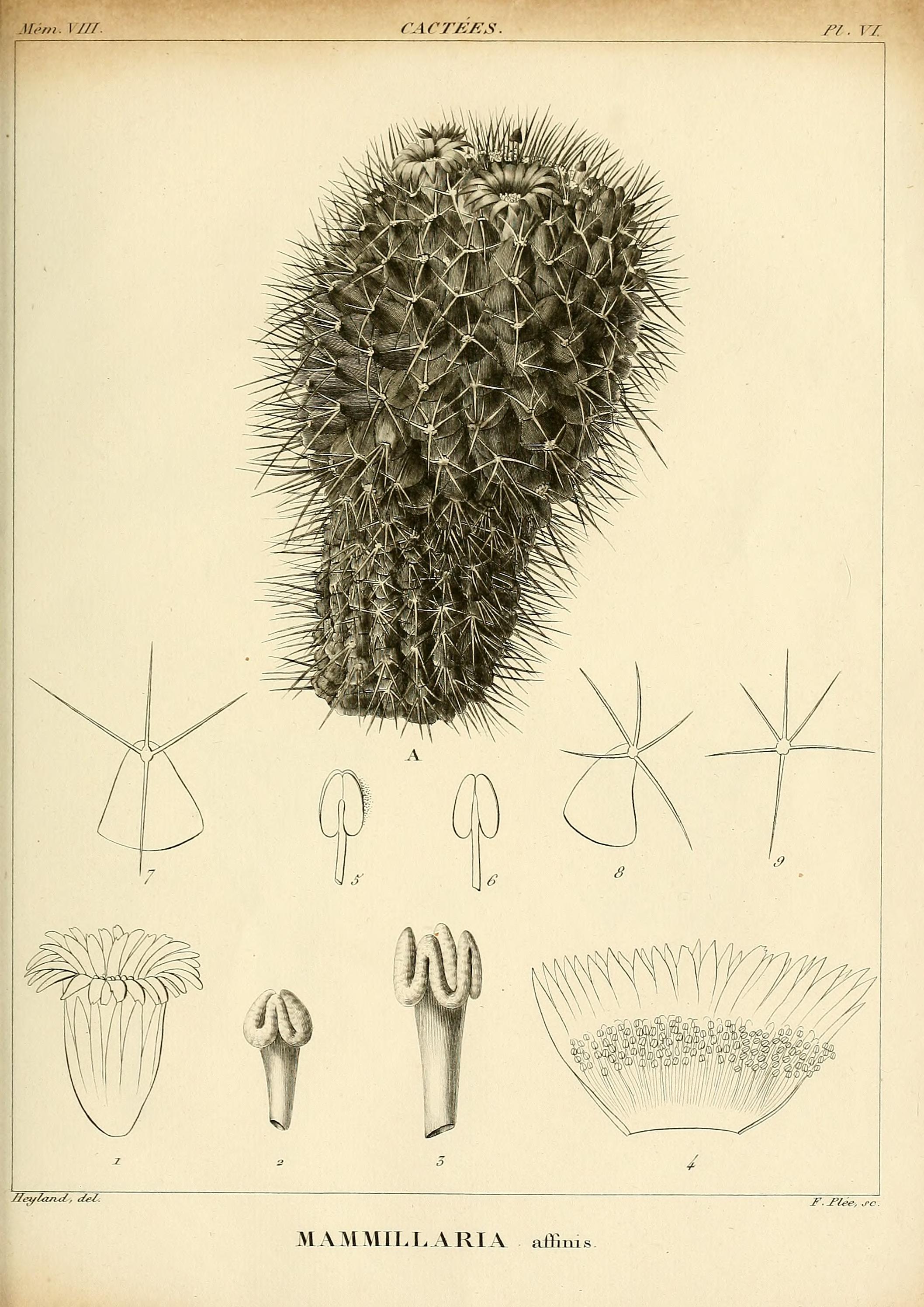 no full size  illustration available (3a)