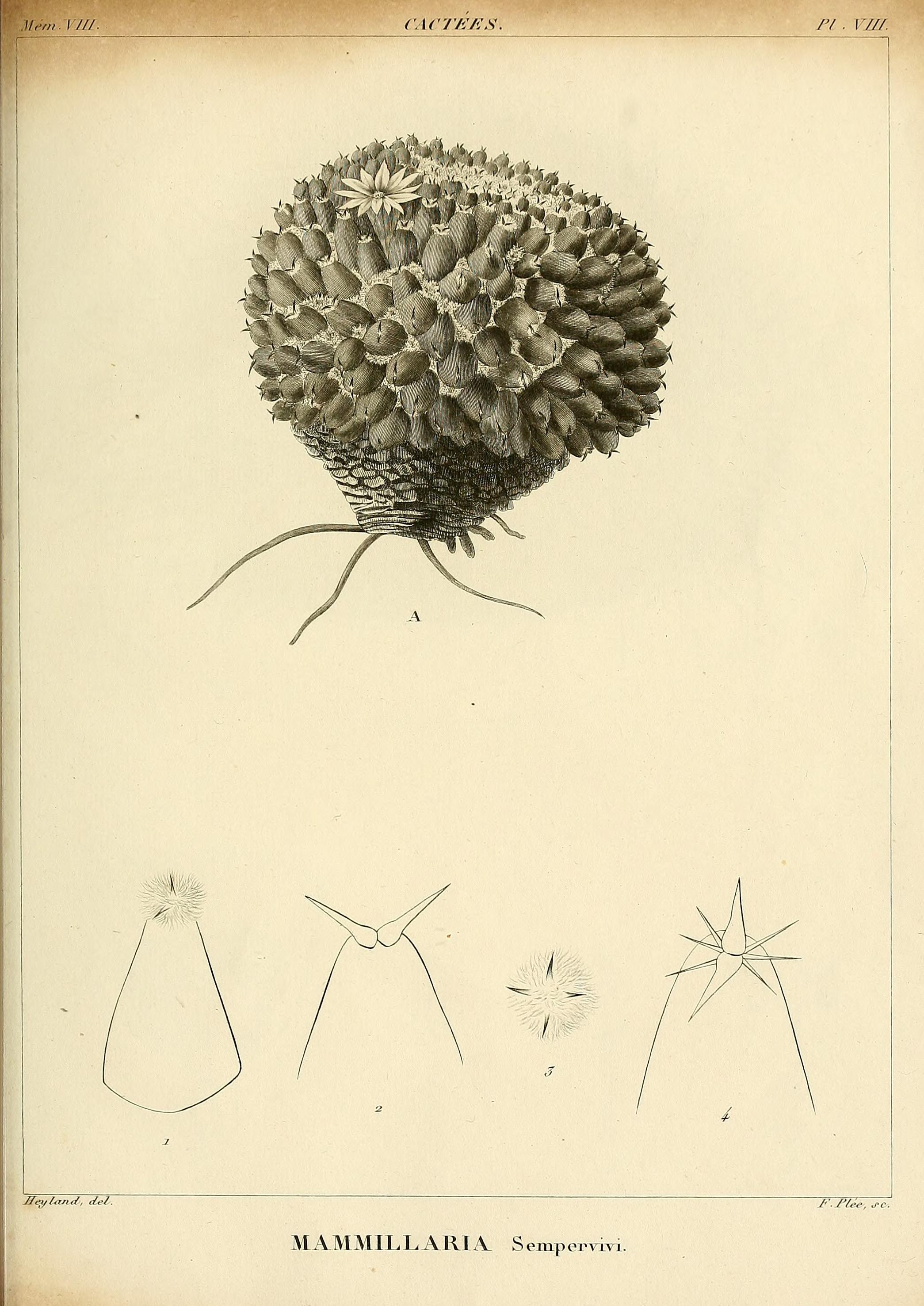 no full size  illustration available (3a)