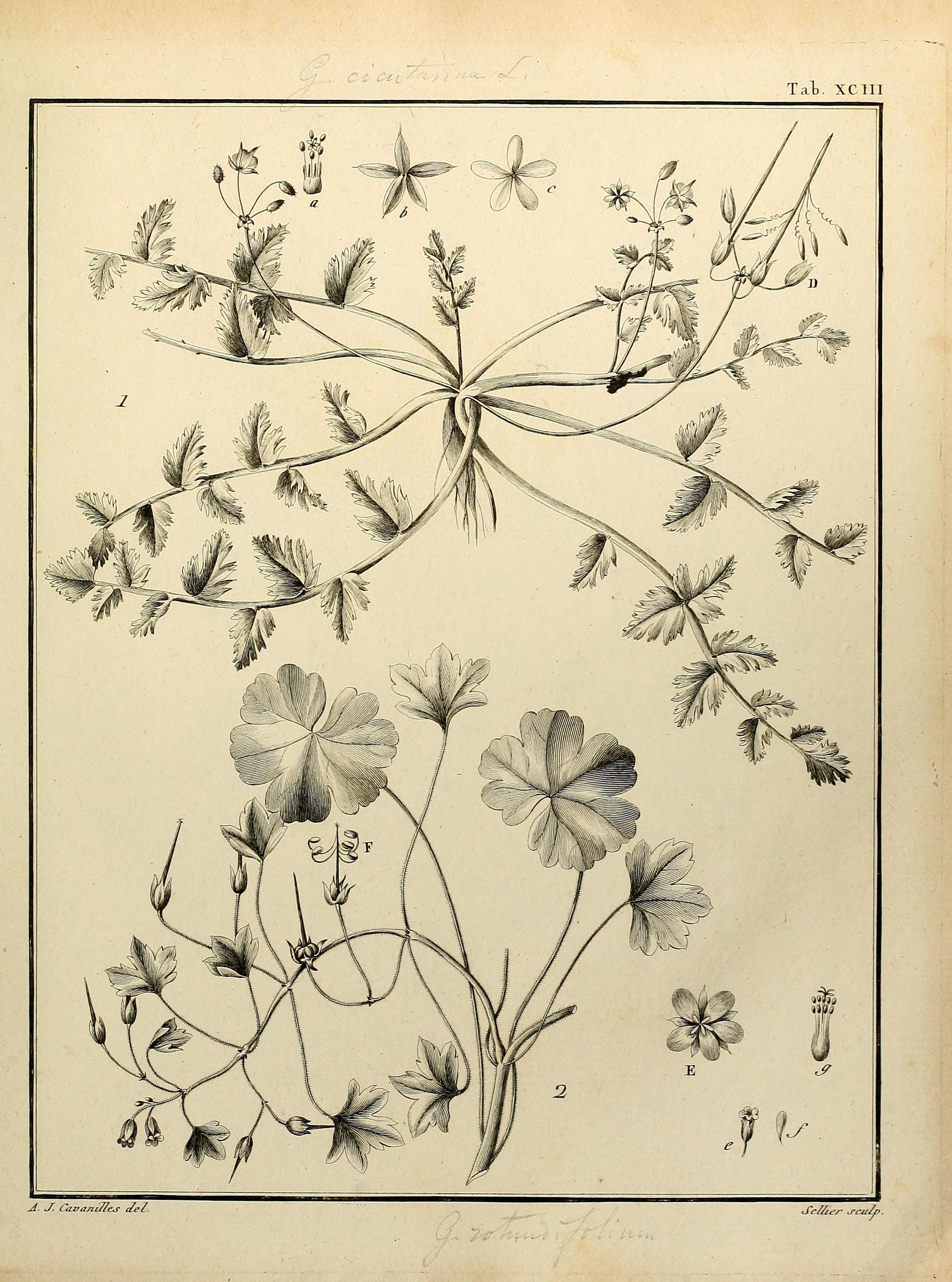 no full size  illustration available (3a)