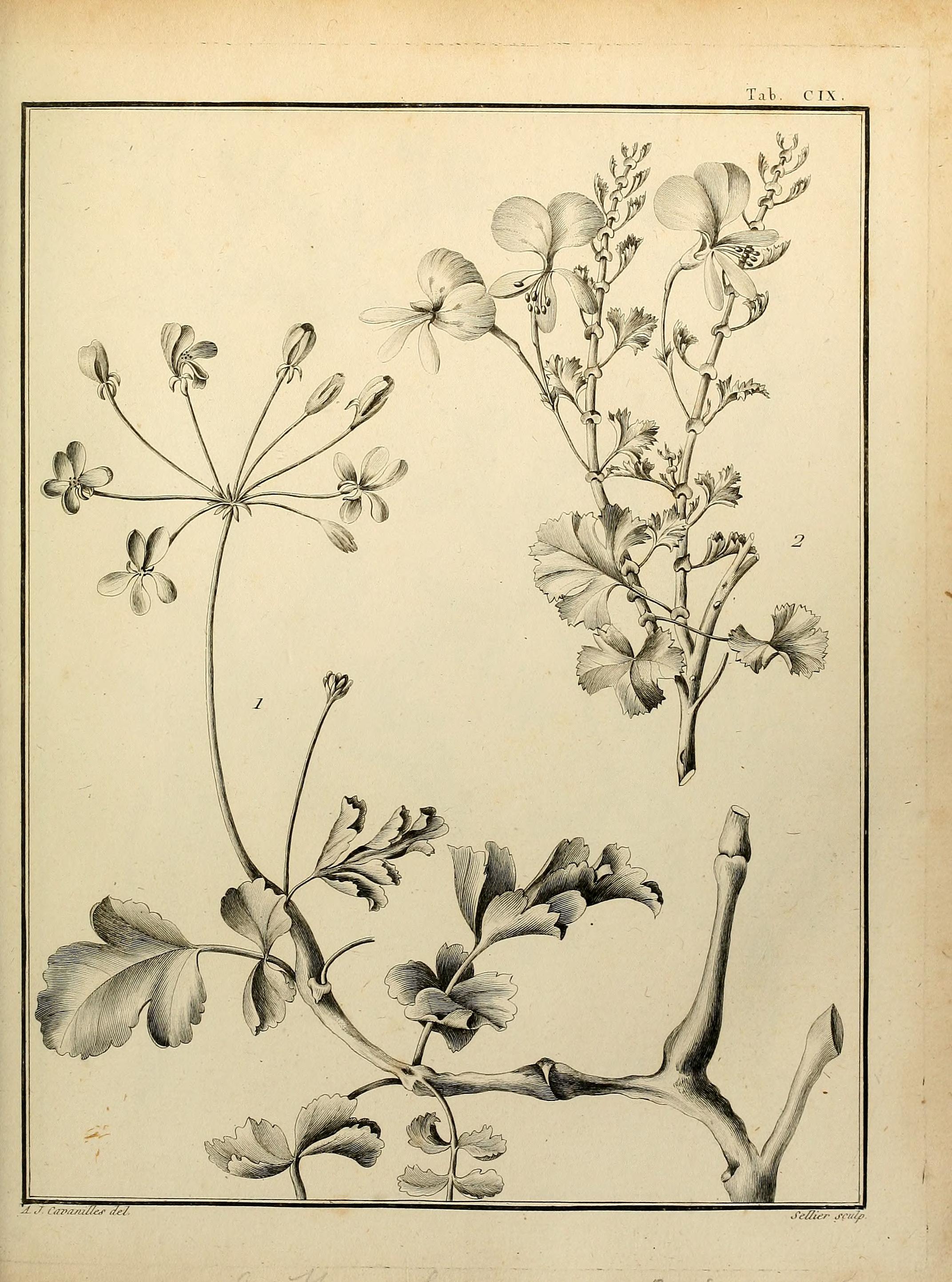 no full size  illustration available (3a)