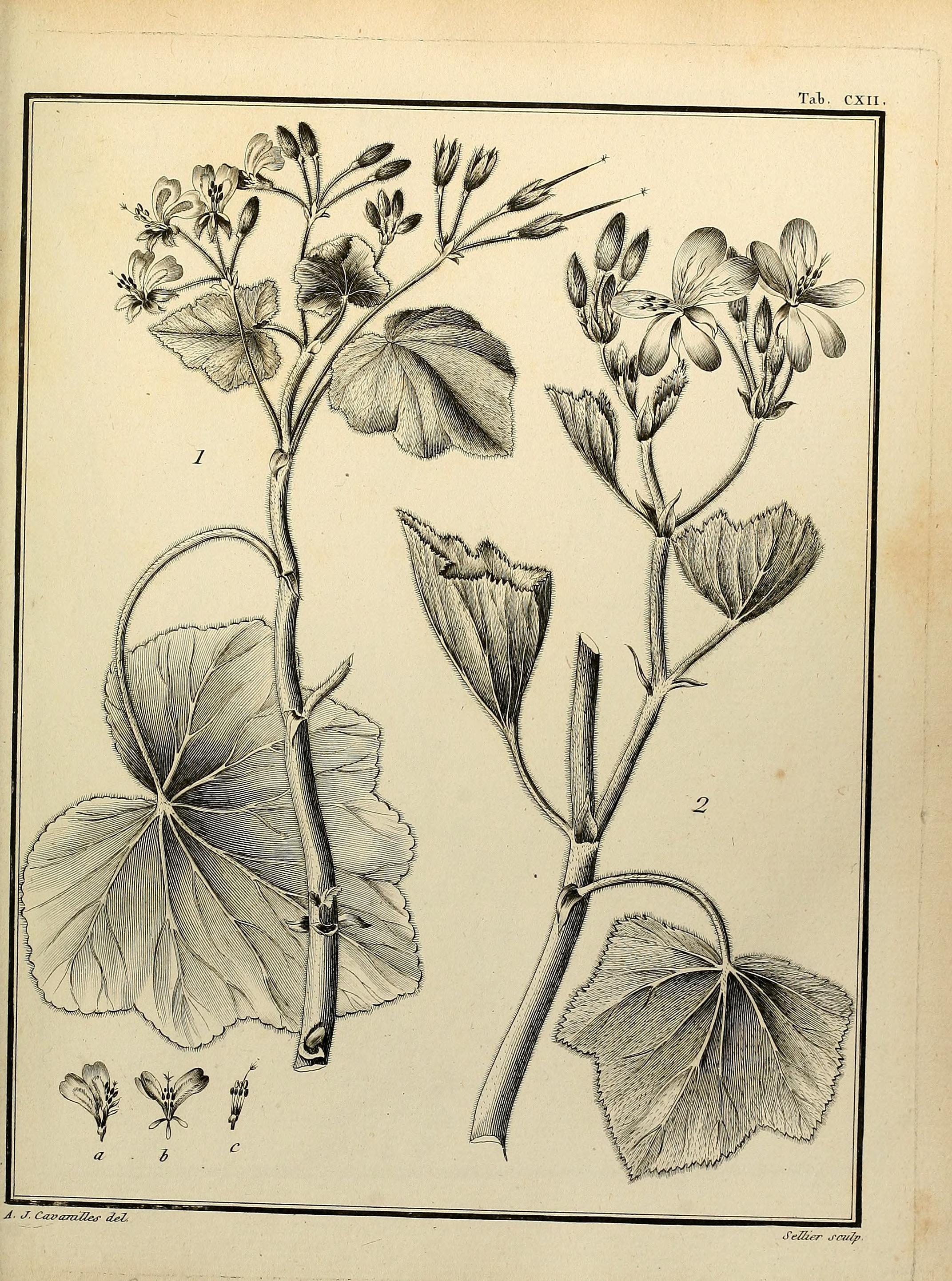 no full size  illustration available (3a)