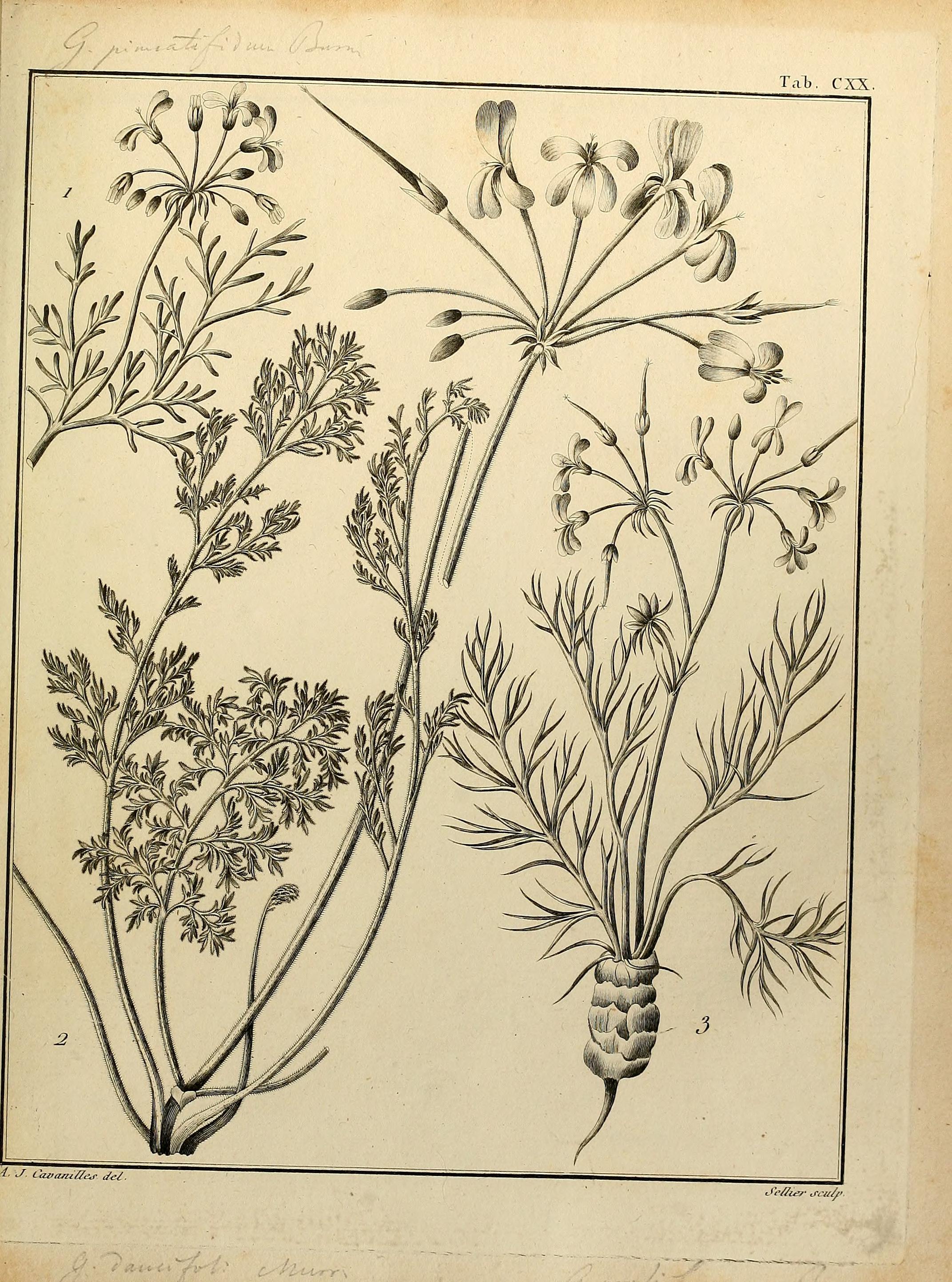 no full size  illustration available (3a)