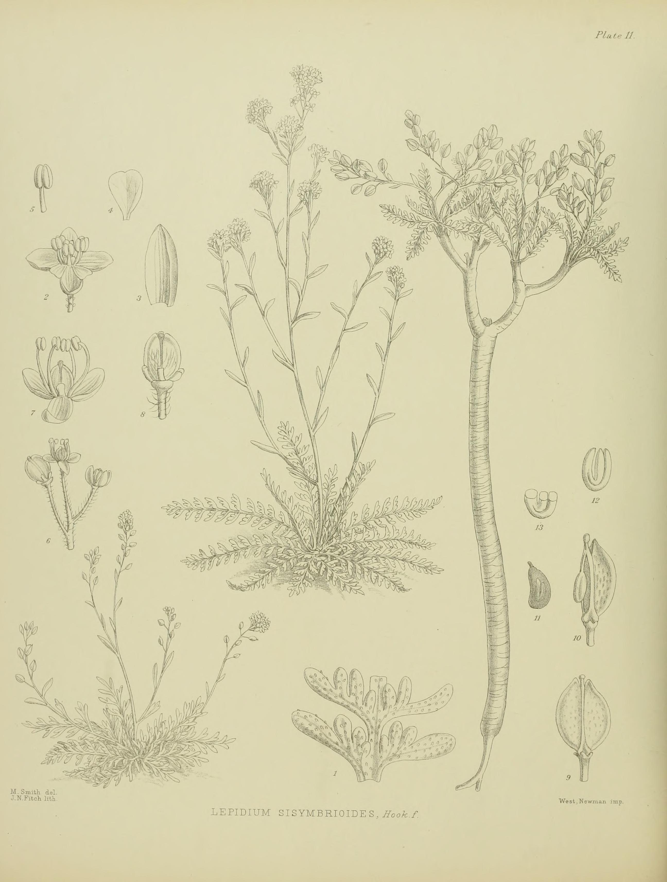 no full size  illustration available (3a)