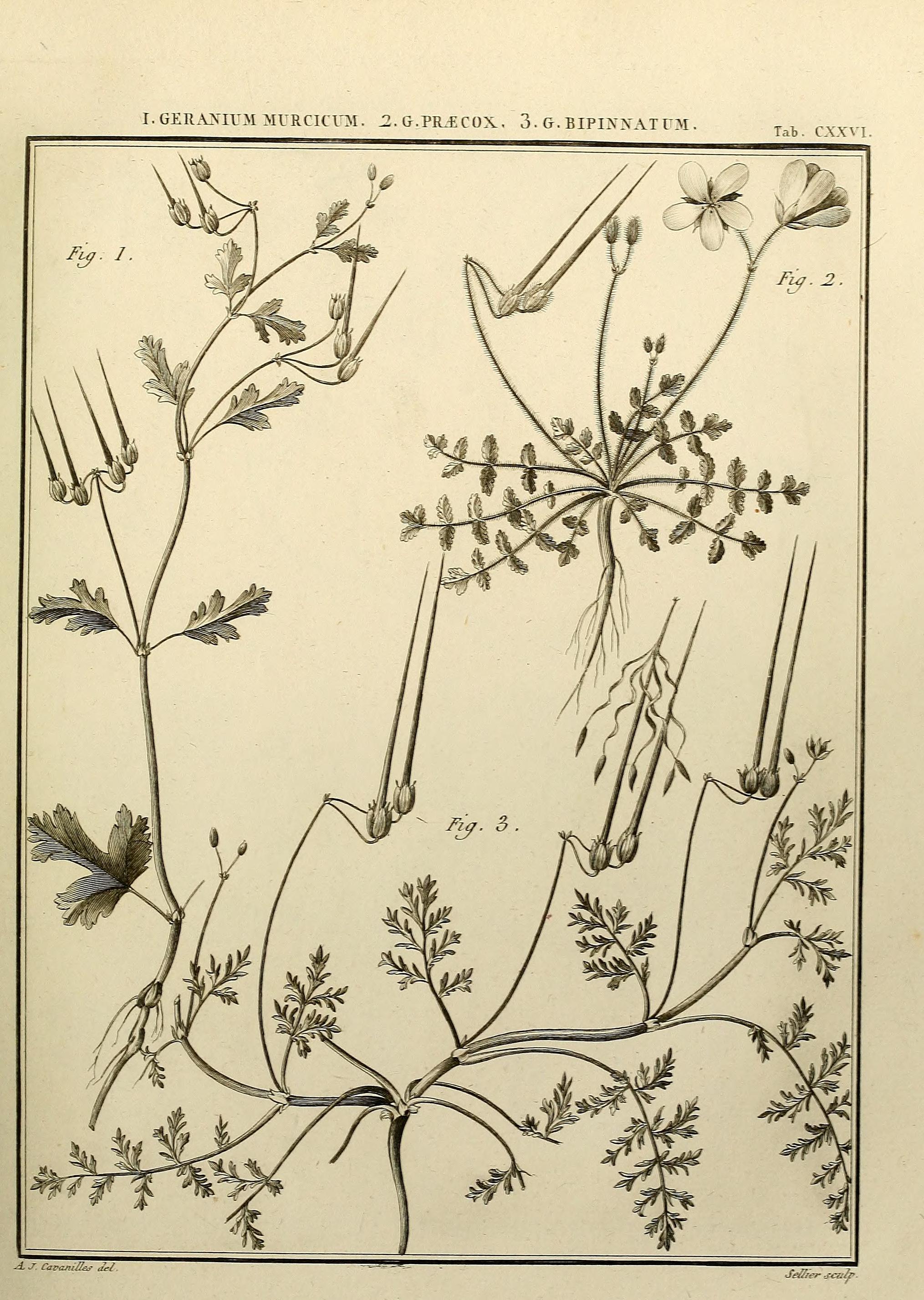 no full size  illustration available (3a)