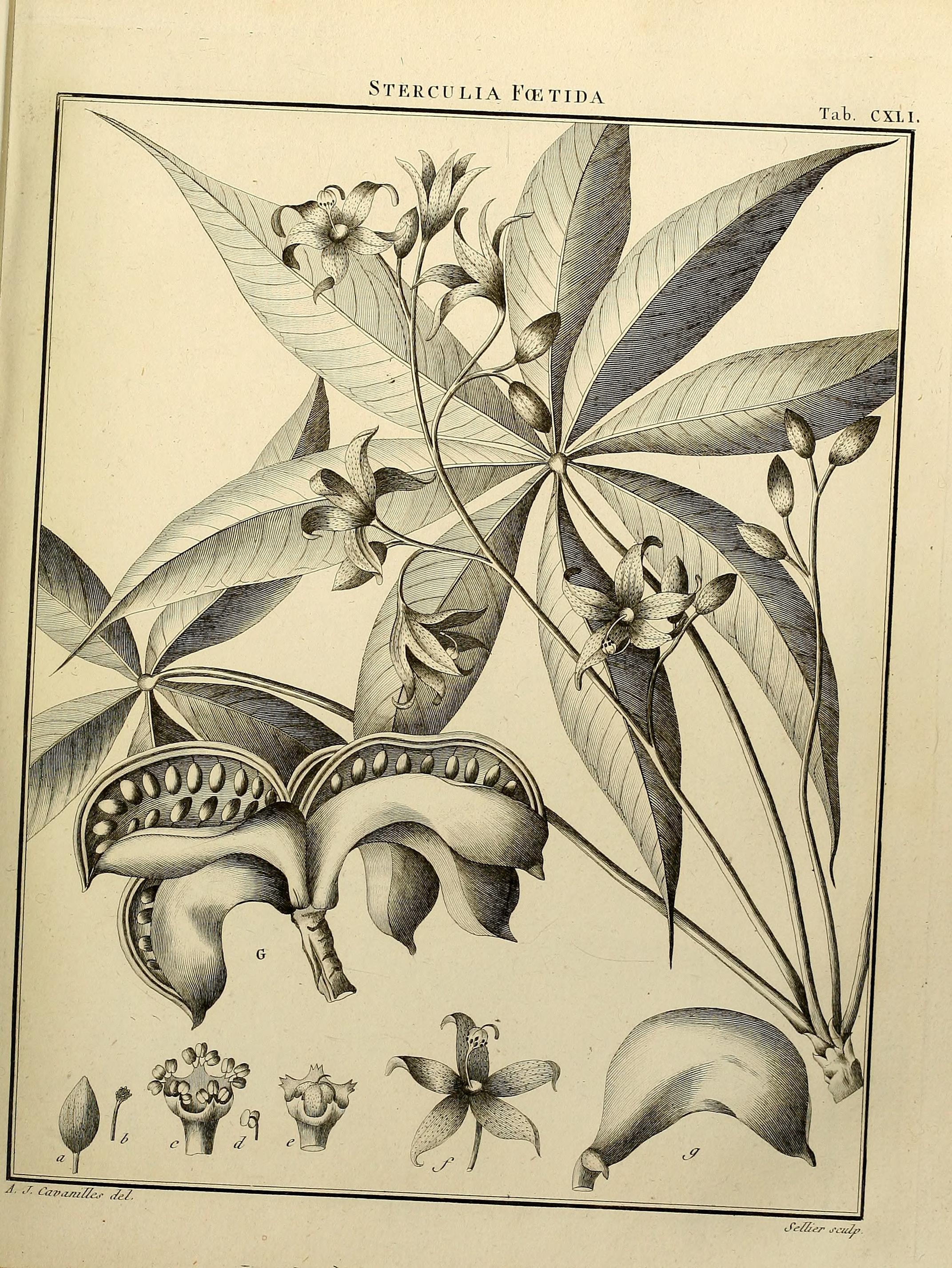 no full size  illustration available (3a)