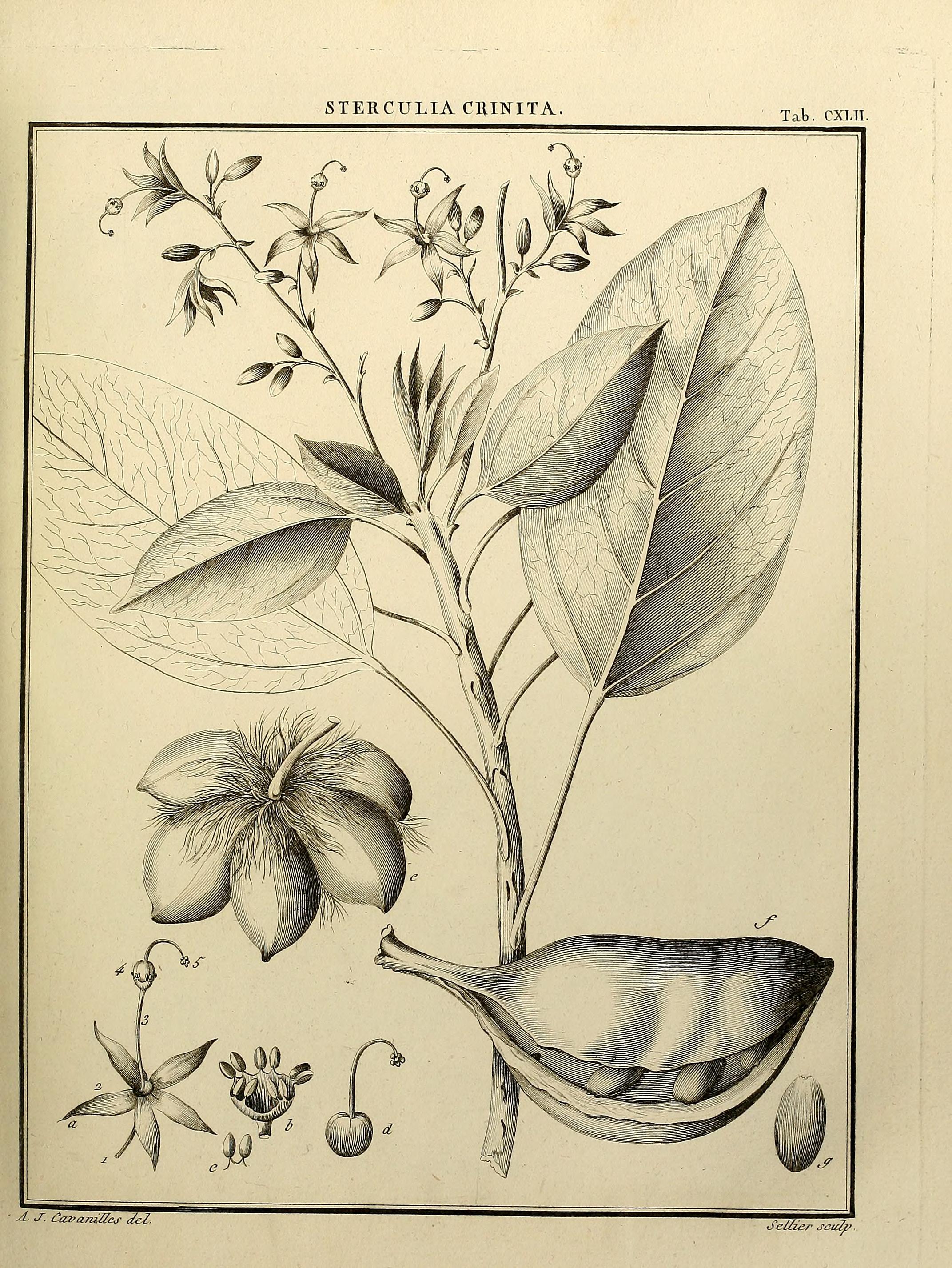 no full size  illustration available (3a)